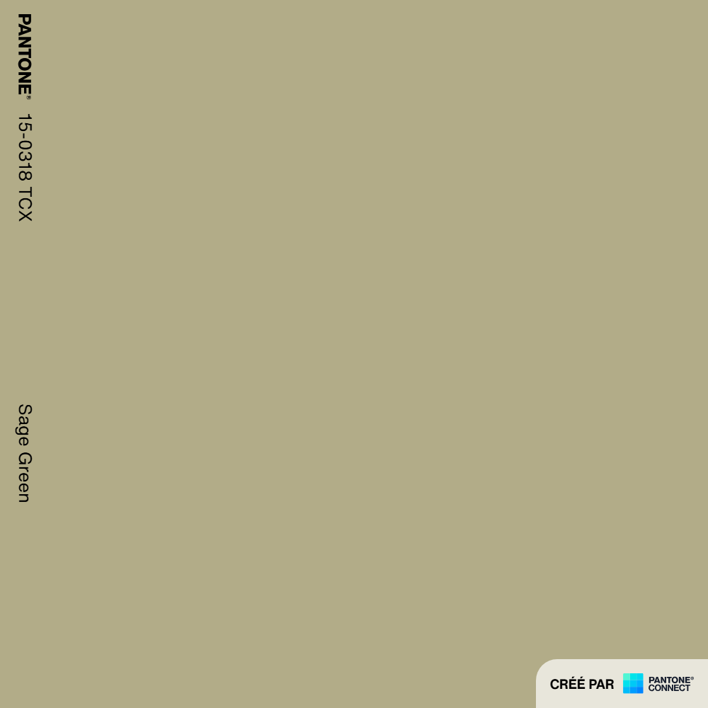 Pantone Connect Palette (53).png