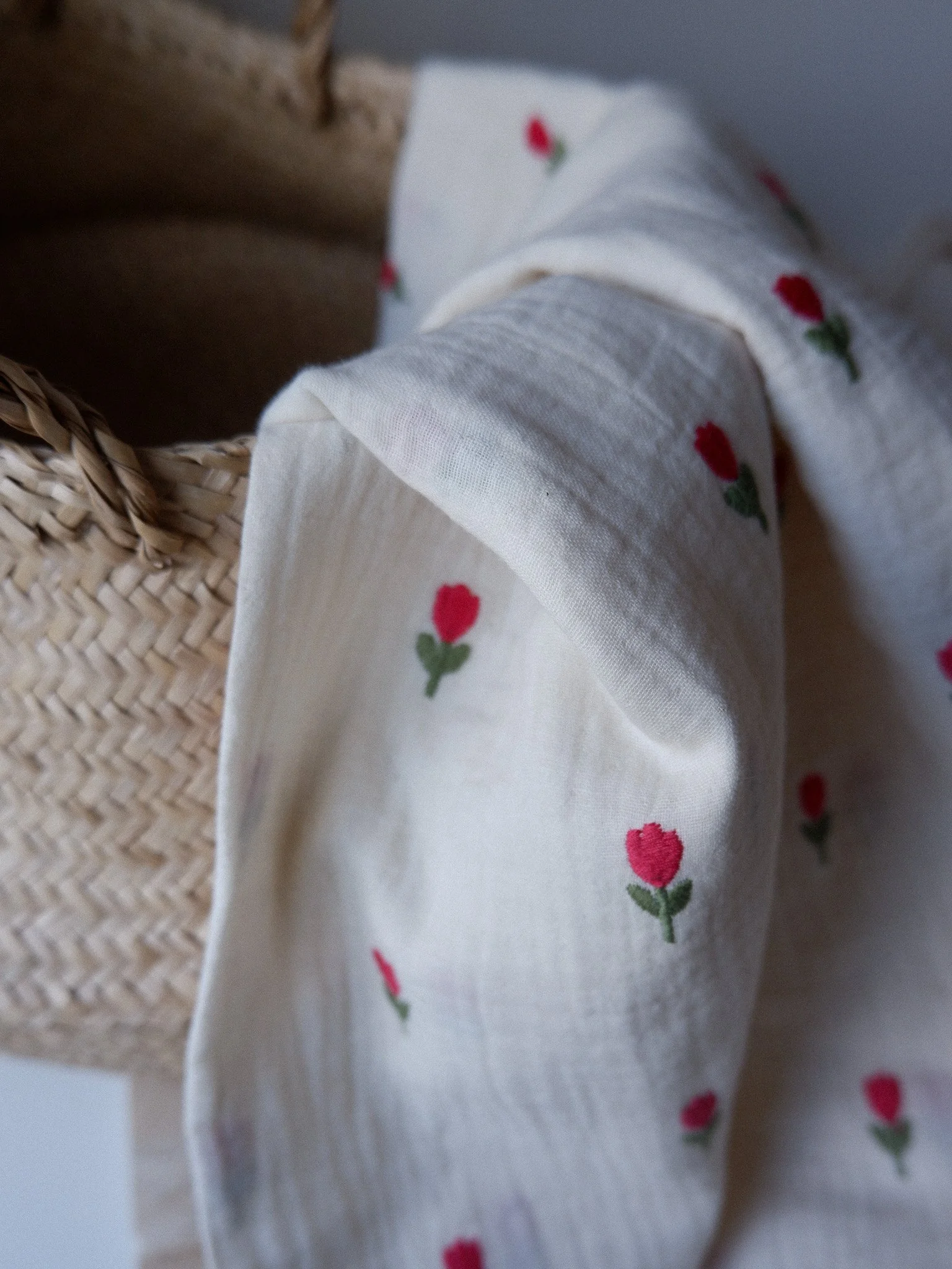 DSCF2254.jpg