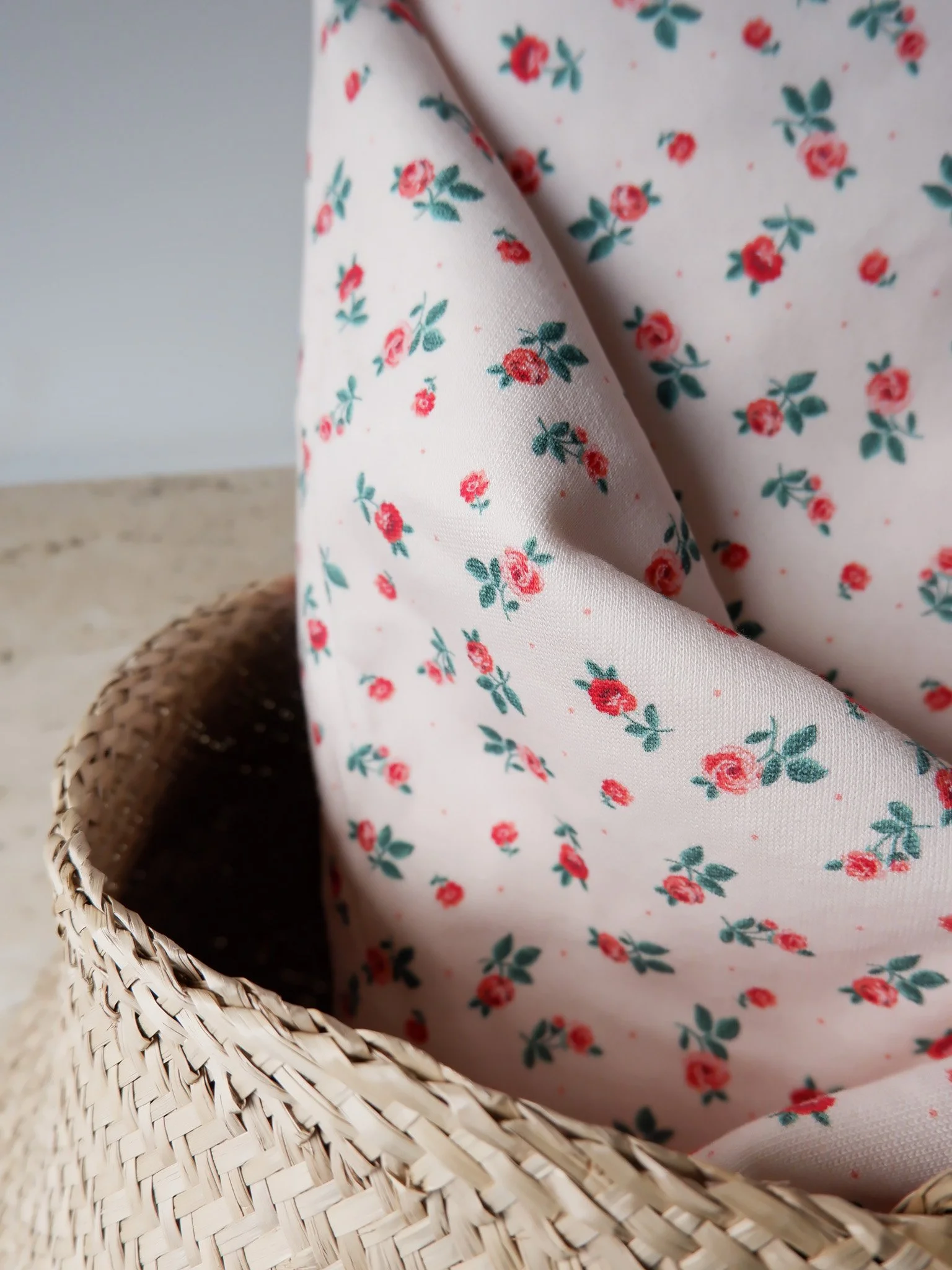 DSCF1888.jpg (copie)