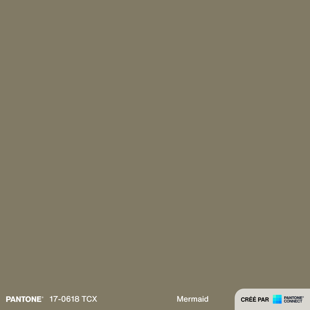 Pantone Connect Palette (54).png