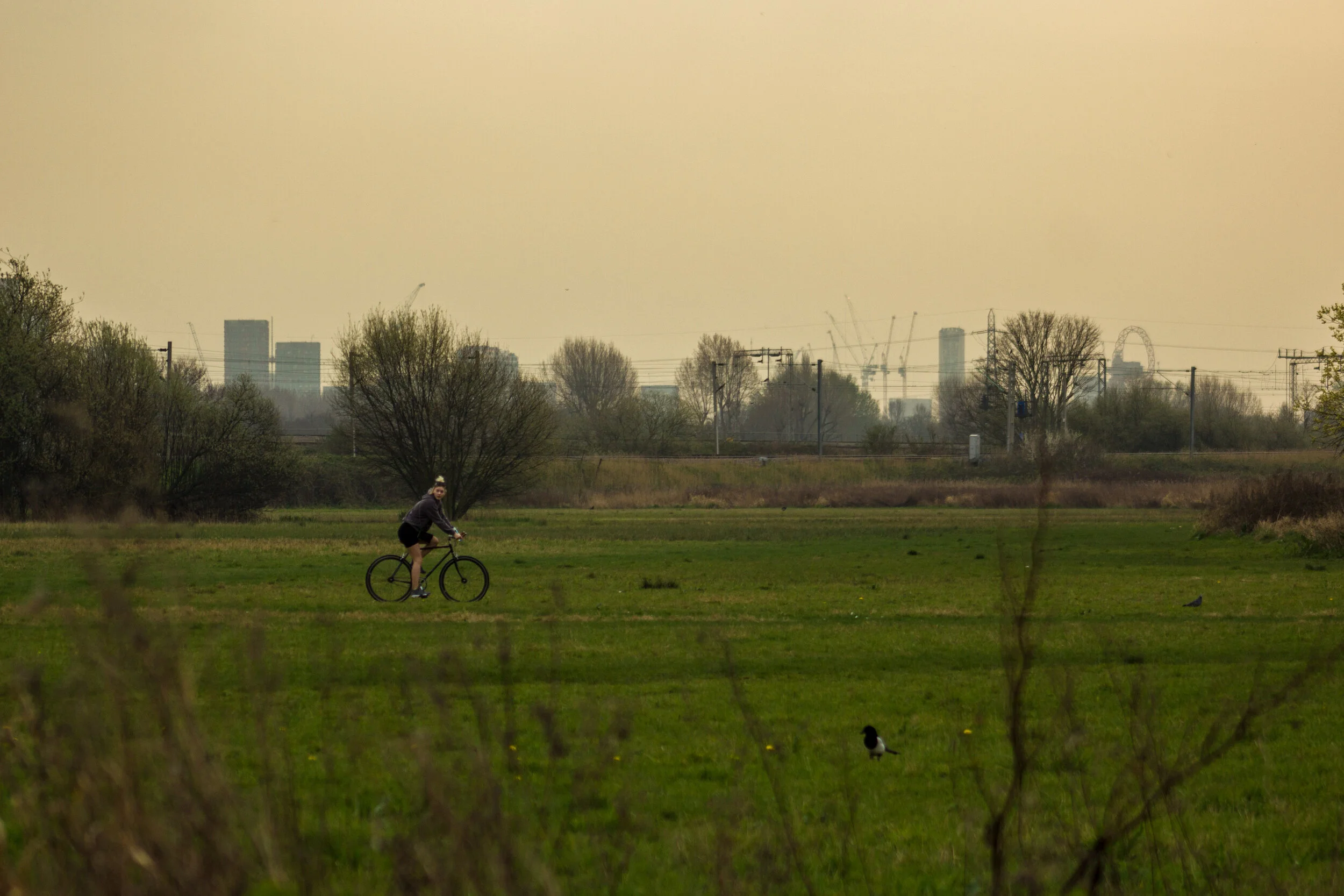 an open field with a view of the distant city