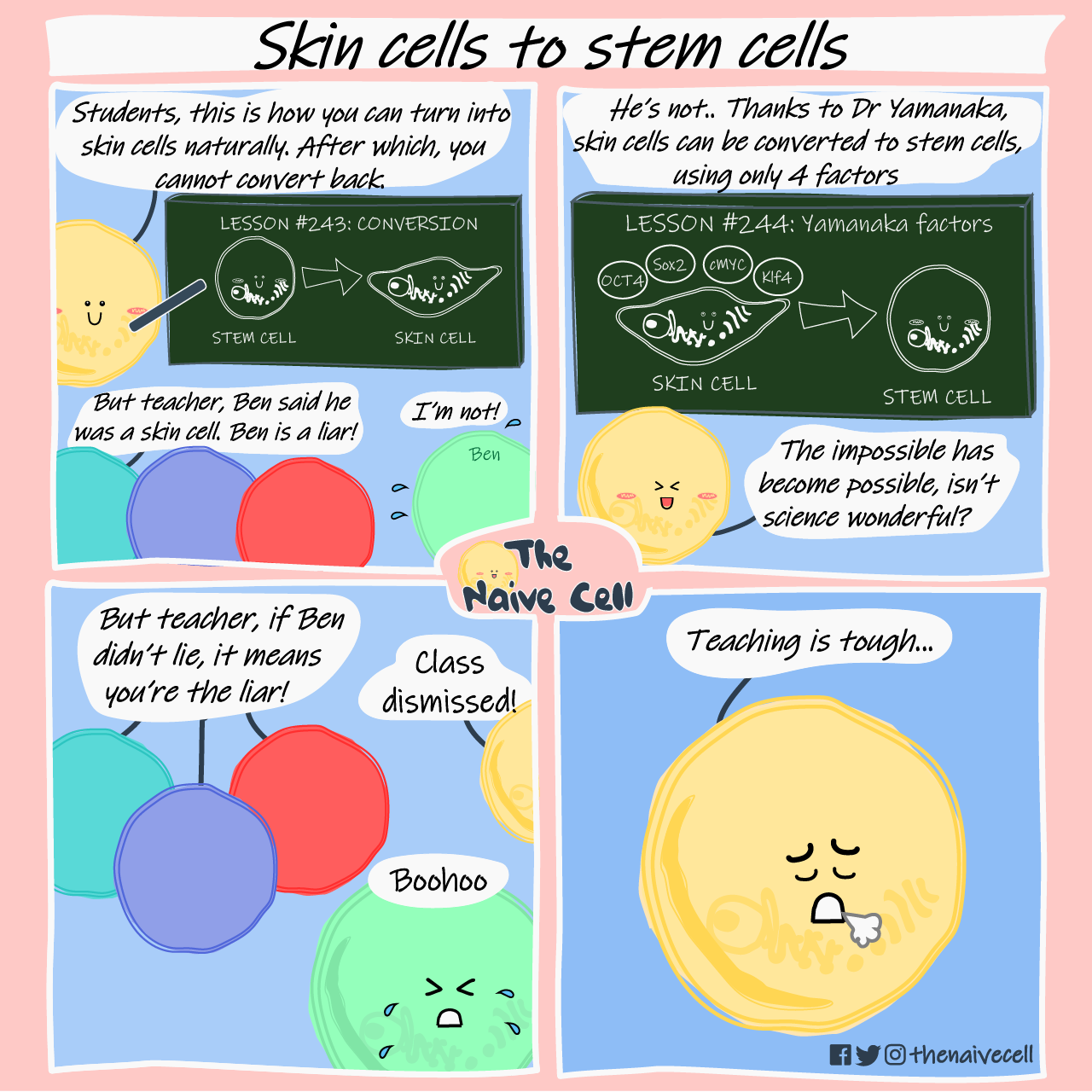 Skin cells to stem cells