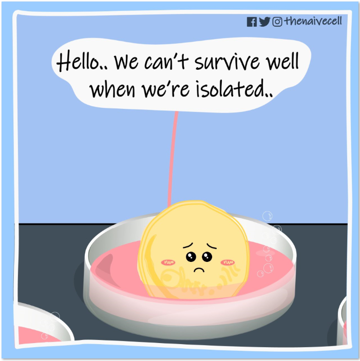 Stay socially connected