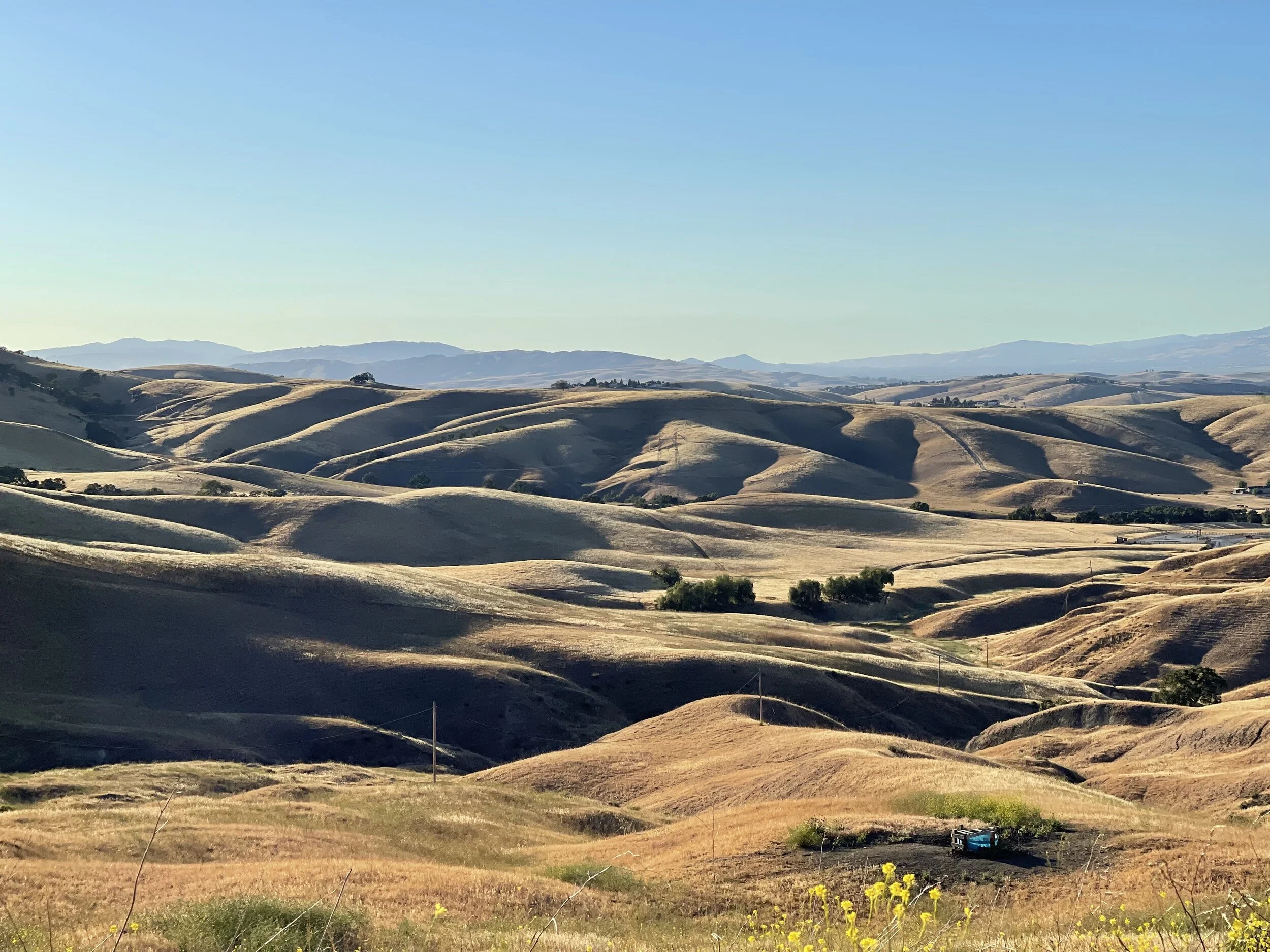 Hollister 4x4 park best sale