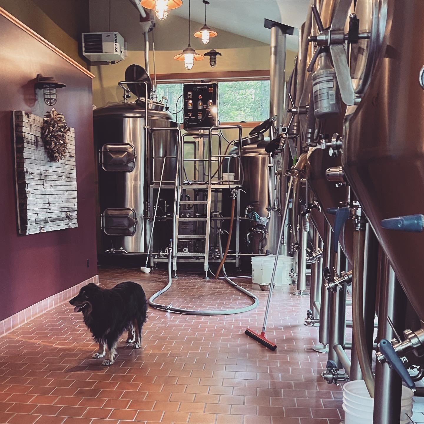 dog_blairsdenbrewery_tanks.jpg