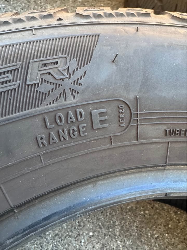 Cooper _Snowclaw_Winter_loadE.jpg