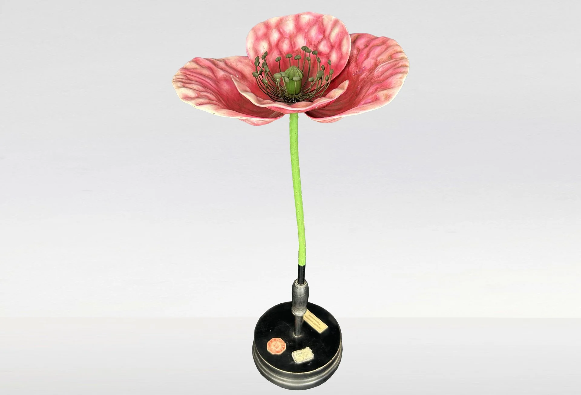 G.B. Paravia & C. "Papaver Sonniferum » a rare Botanical teaching model