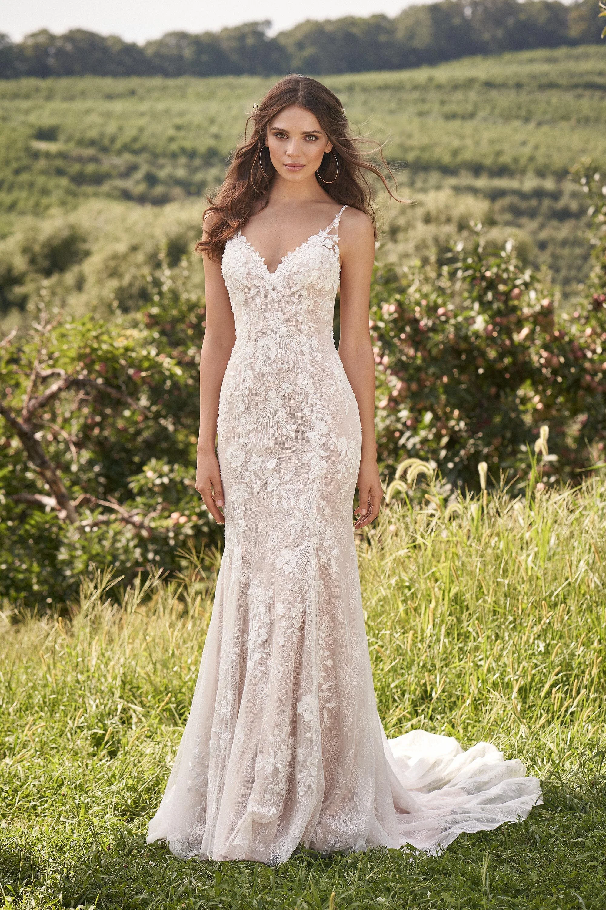ROSE 12 UK