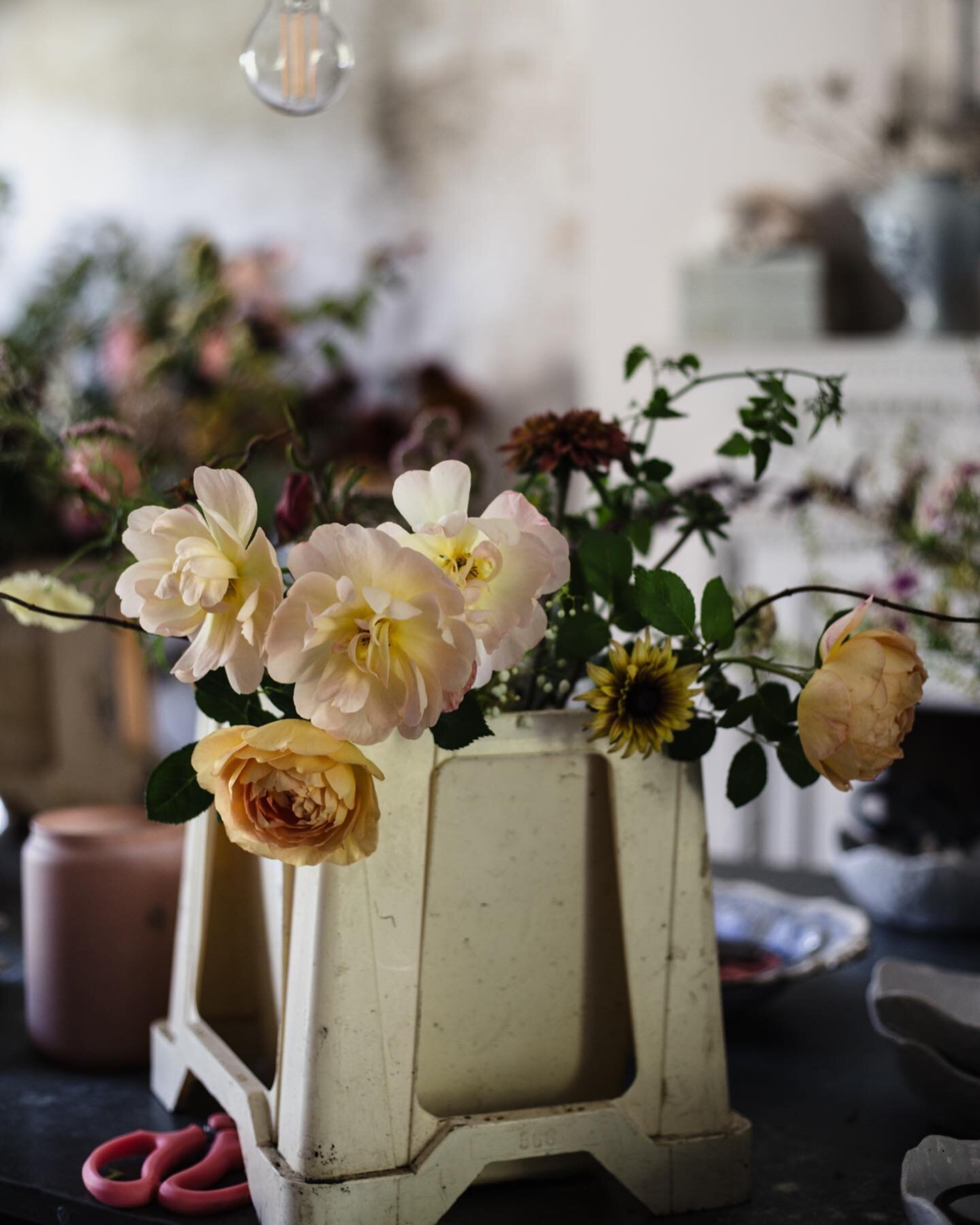 This is a before and after post where even the &sbquo;before&rsquo; post is beautiful. Today a year ago this photo was taken in the dreamy studio of @lucytheflowerhunter where she was sharing her creative process together with Gabriela lamusadelasflo