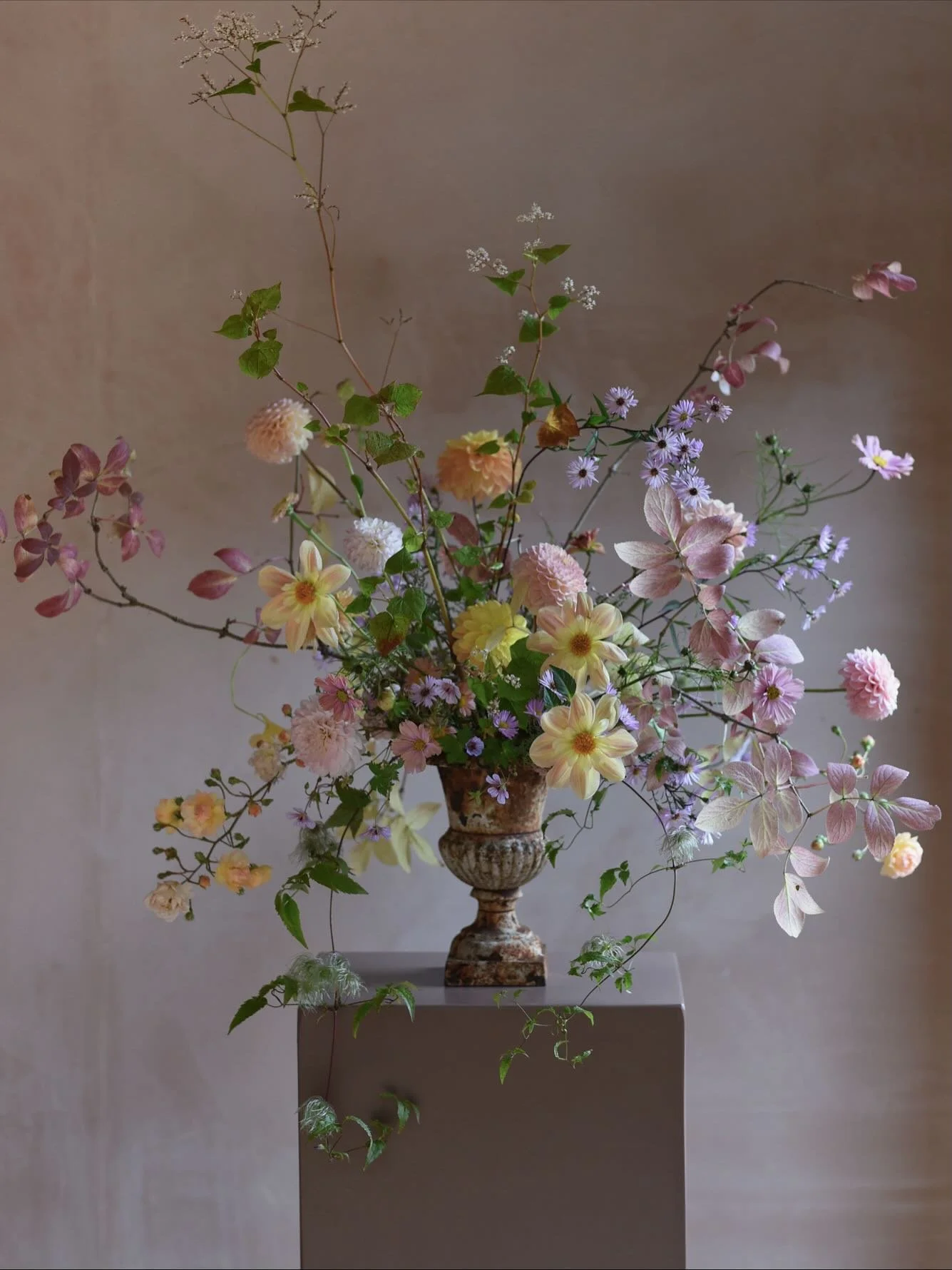 As we lose the light an hour earlier here today, this image of a glorious urn captured in an iconic photo booth up in Yorkshire is coming to the rescue. It takes me back to the first day of October when the flowers were doing their very best to captu