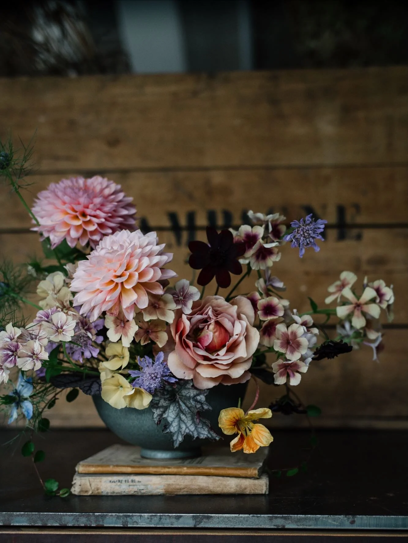 This one is for the archives of &lsquo;This time in November 2025&rsquo;. The last flowers I found in the garden and the poly tunnel before the frost. I cut the Dahlias on November 16 together with the annual Phlox and the Nasturtium. The Coco Loco R