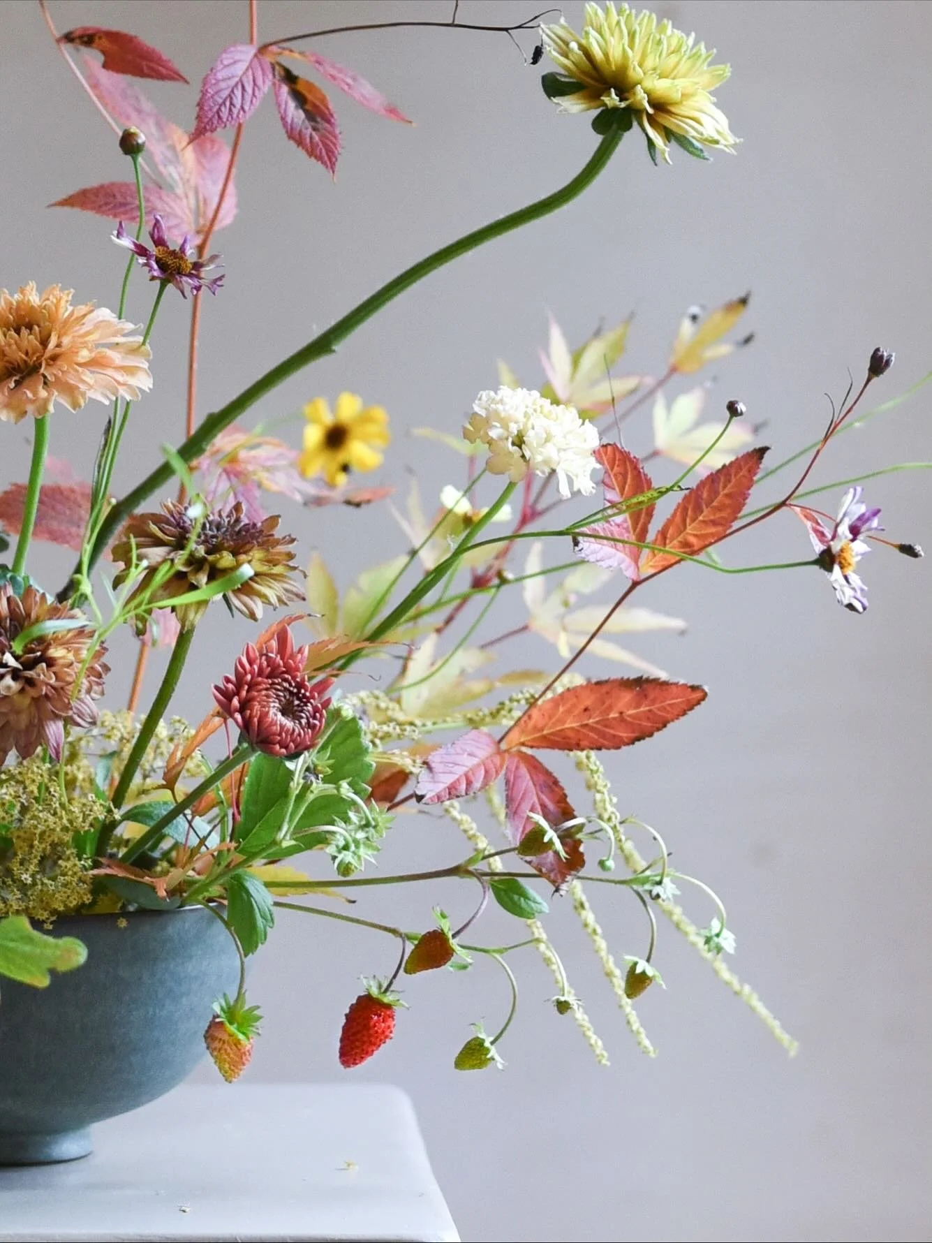 It is always so fascinating to find treasures that seem to defy the laws of seasonality and grow outside their expected season. Like this tiny strawberry found in Sarah&rsquo;s @simplybyarrangement garden at the beginning of October. I was obsessed. 