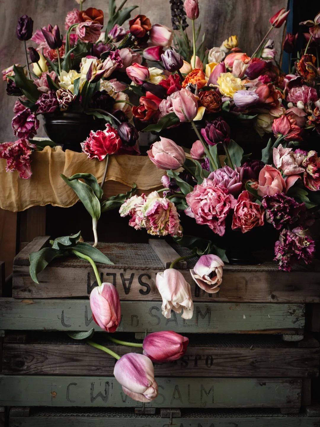 Mit den Tulpen melde ich mich wieder zur&uuml;ck aus dem Winterschlaf. Diese Bilder entstanden vor 4 Jahren als ich einen Workshop in Holland besuchen durfte. Dabei hatte ich das unglaubliche Privileg, von der renommierten Kiana Underwood @tulipinade