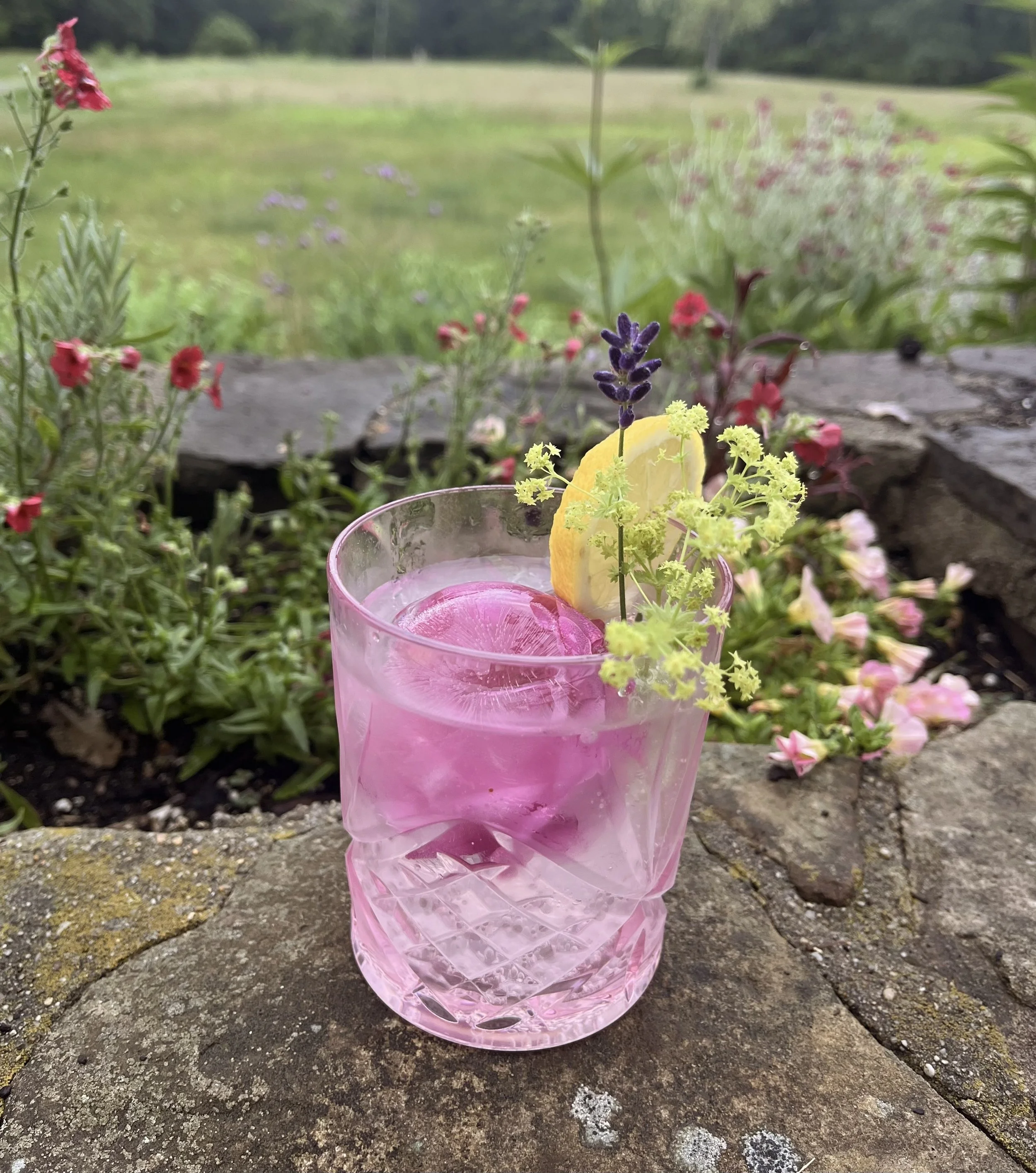 Pink-colored glass containing a pink beverage garnished with yellow and purple flowers and a lemon wedge, placed on rough stone pavement outdoors, with green grass and trees in the background.