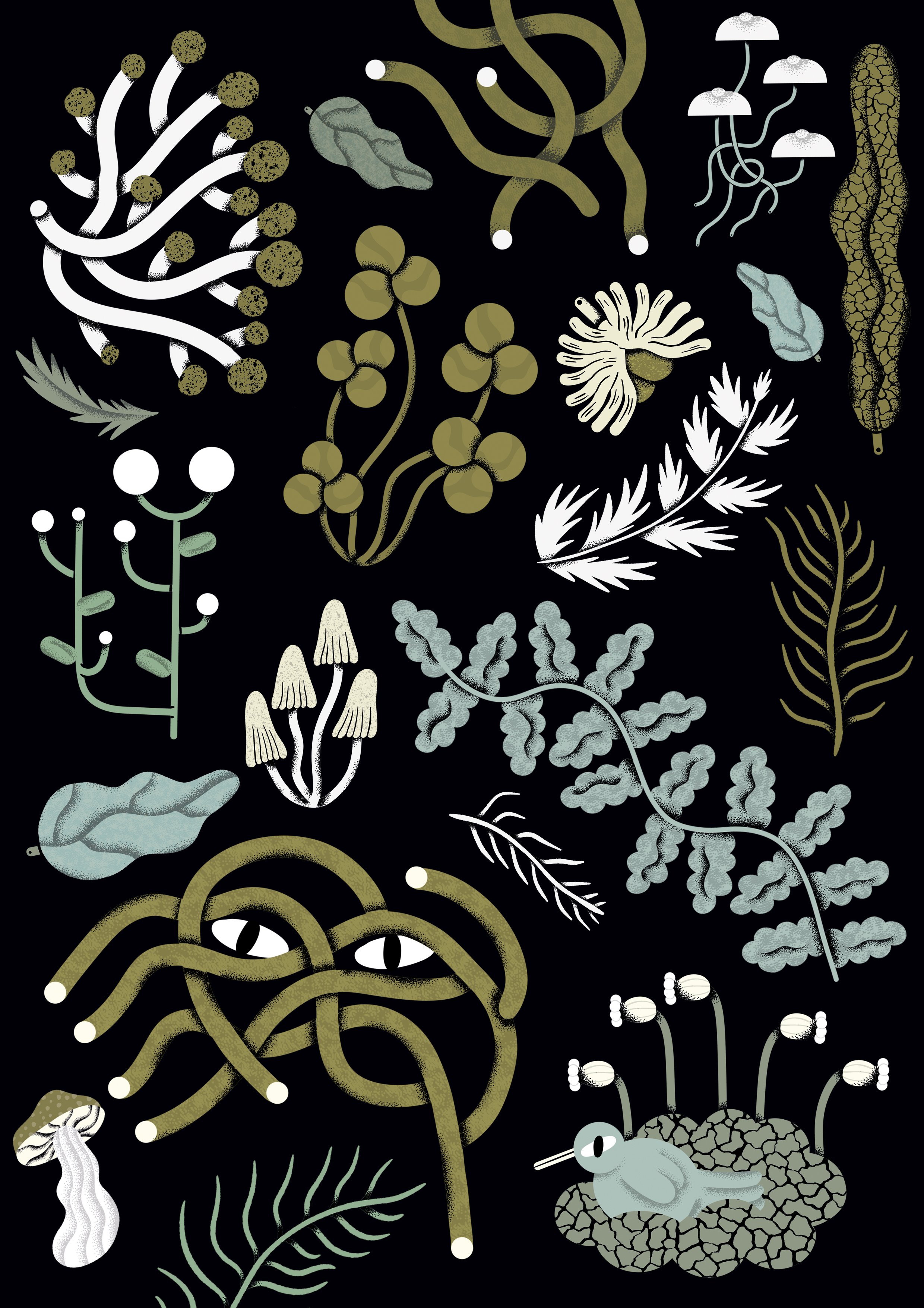 pattern.jpg