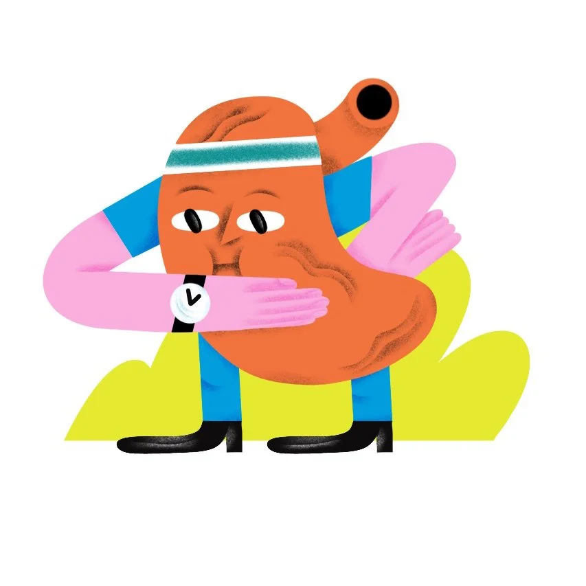 editorial-illustration-stomach-health-magazine.jpg