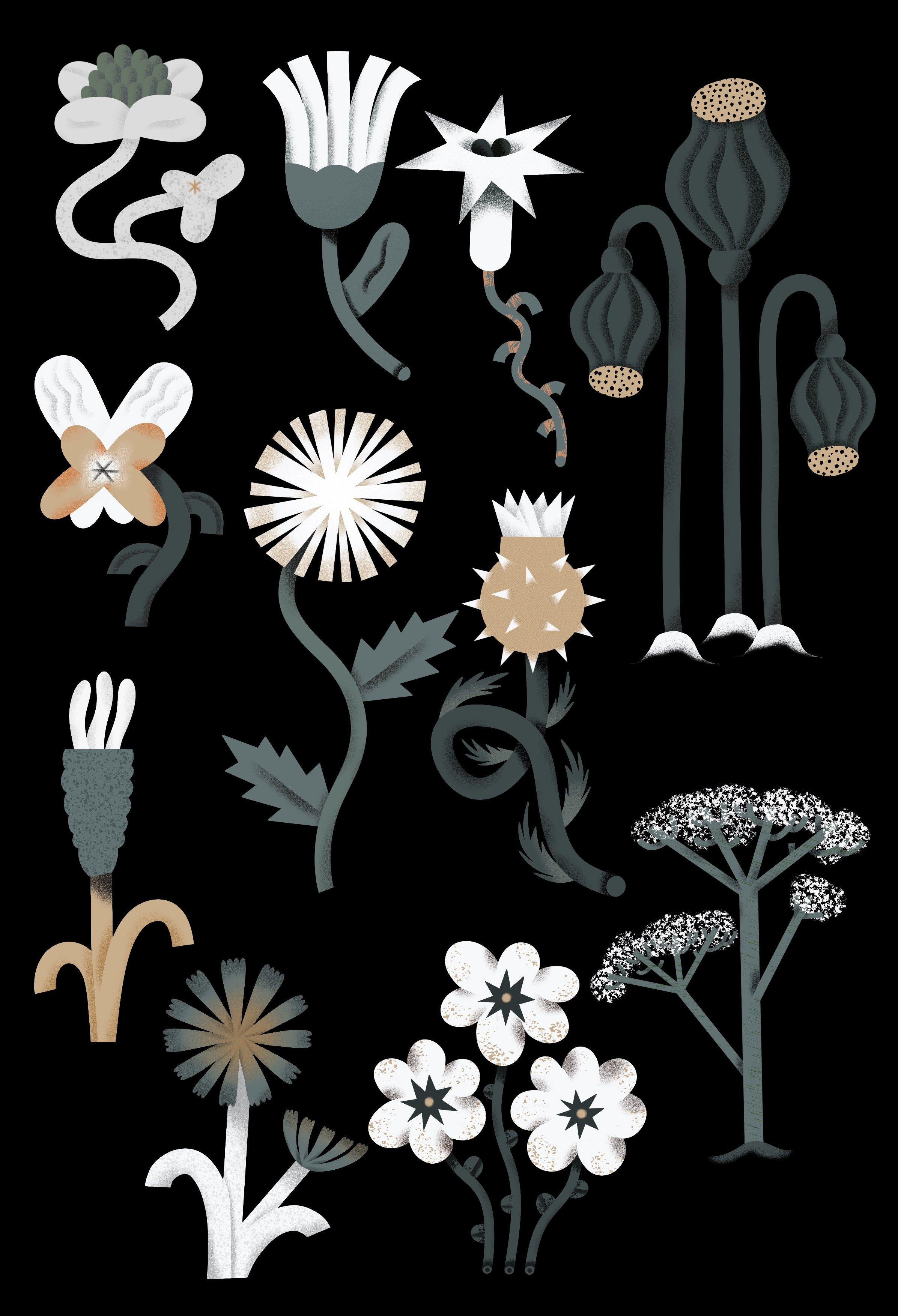 Untitled_Artwork 50.jpg
