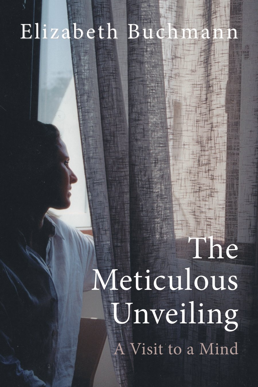 The_Meticulous_Unveiling_FRONT_Cover_only.jpeg