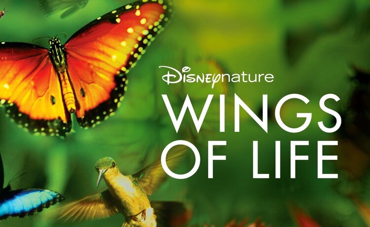 Saturday, April 3 at 10am FAMILY EVENT: WINGS OF LIFE&nbsp; Discussion will be moderated by Mary Anne Borge , Editor of Butterfly Gardener magazine, Team Leader for Lambertville Goes Wild, an instructor at Bowman’s Hill Wildflower Preserve, and a Pennsylvania Master Naturalist. Mary Anne is also a photographer and author of The Natural Web .&nbsp;