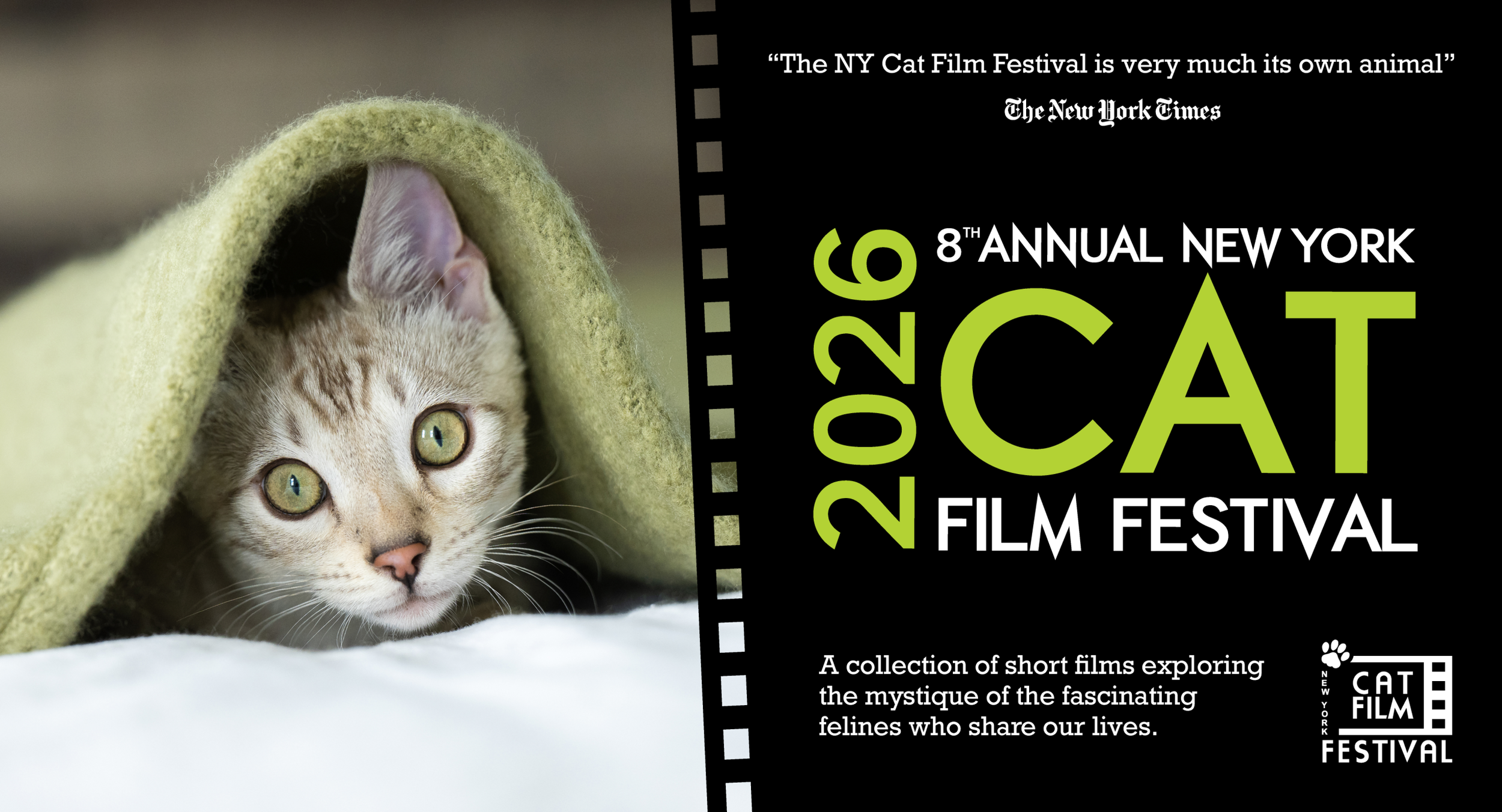 New York Cat Film Festival - 2026