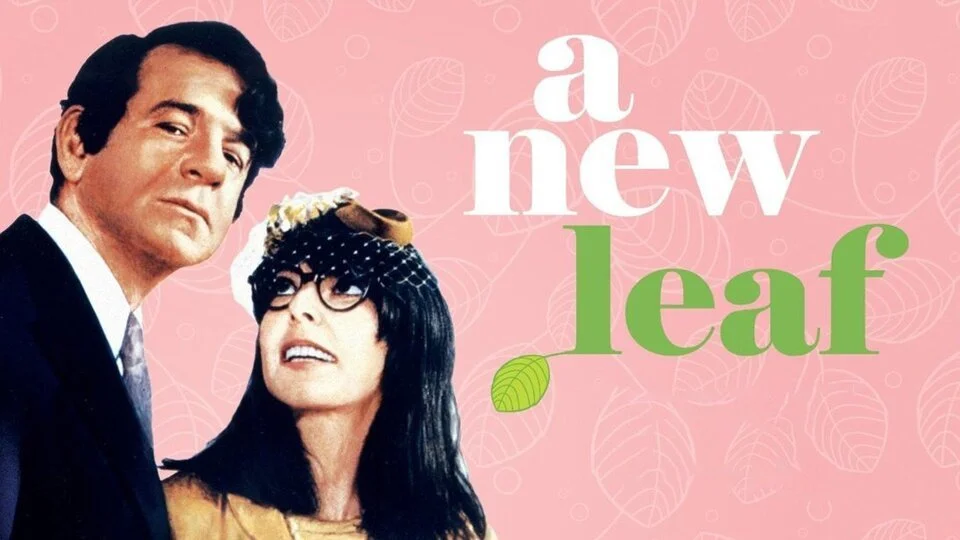 Spotlight on "A New Leaf" Plus Discussion with Dylan Mayer