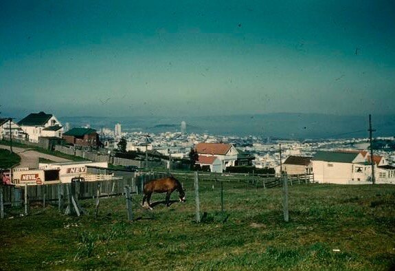 Diamond Heights prior to redevelopment. Believe it or not, this area had horses and goats as late as the 1950s! Before 1960 the area still felt very rural even though in the geographic center of San Francisco!