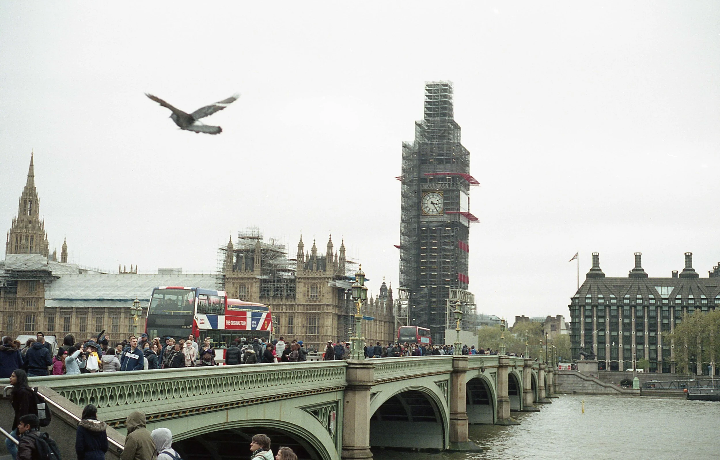 img201.jpg