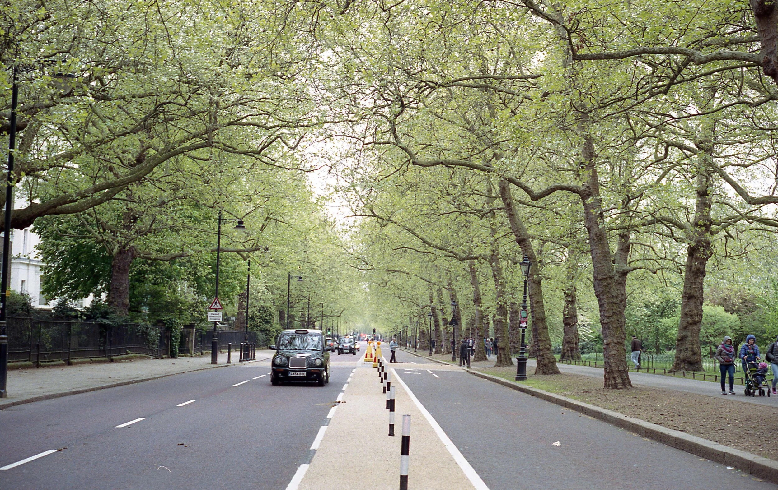 img196.jpg