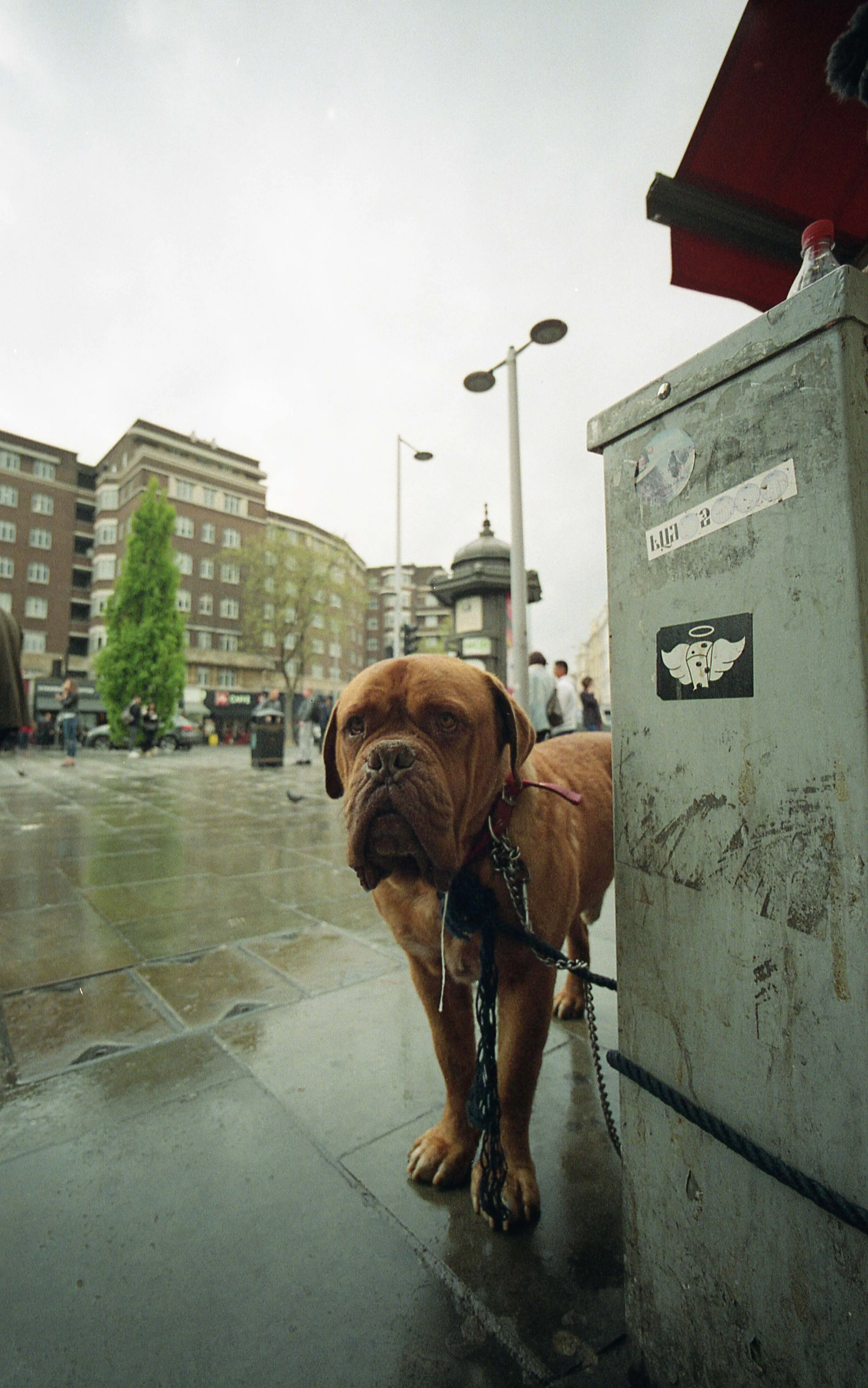 img265.jpg