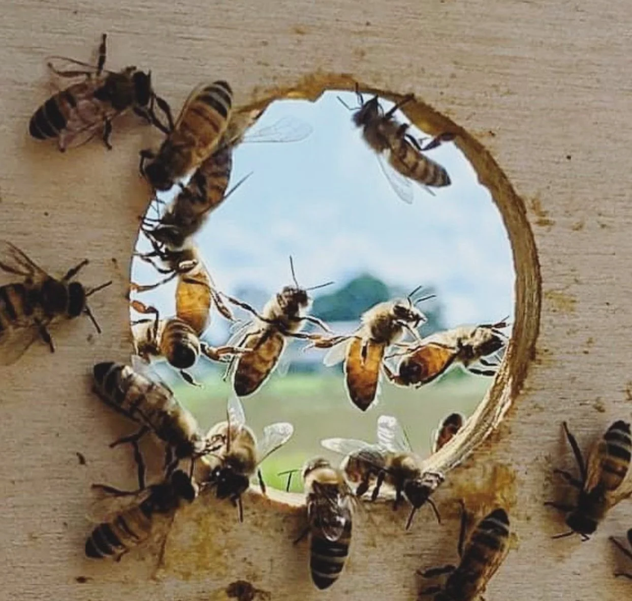 Capture d’écran, le 2022-03-07 à 17.16.32.jpg