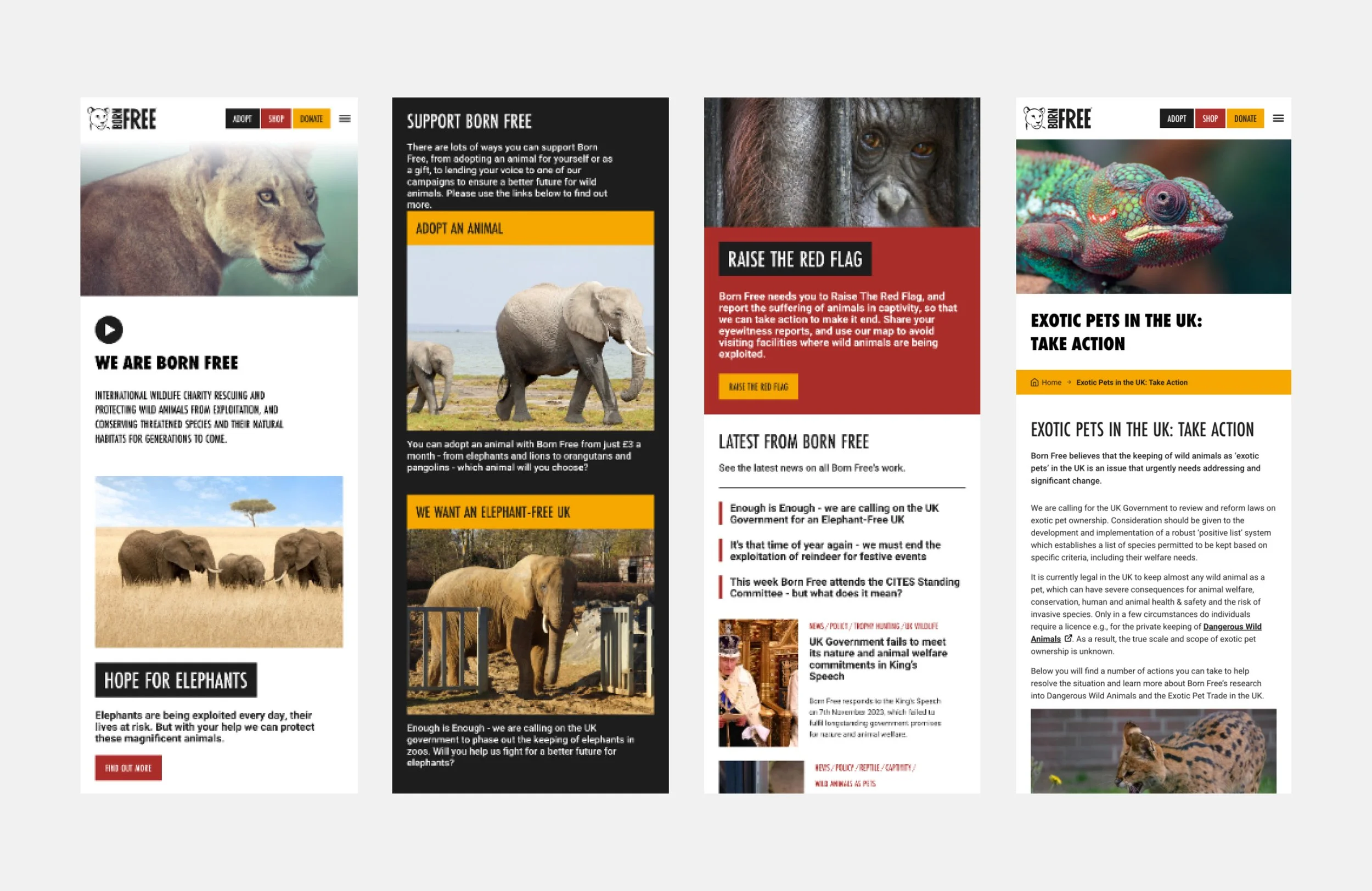 Born Free mobile designs_Lucia MaeReed.jpg