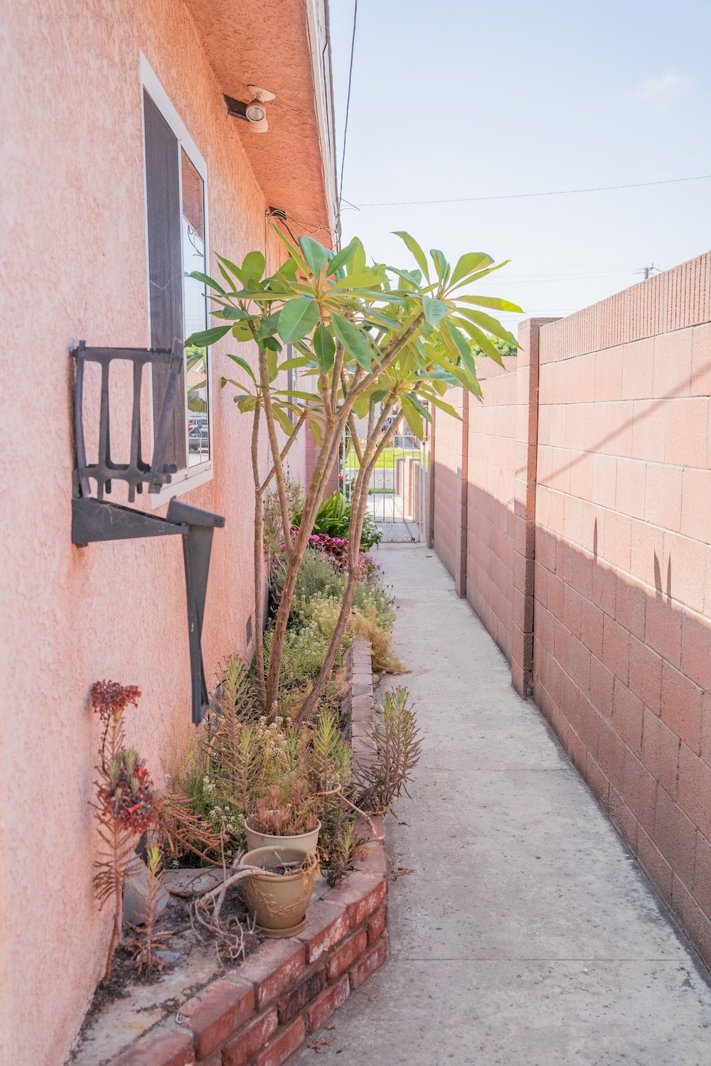 45 backyard.jpg