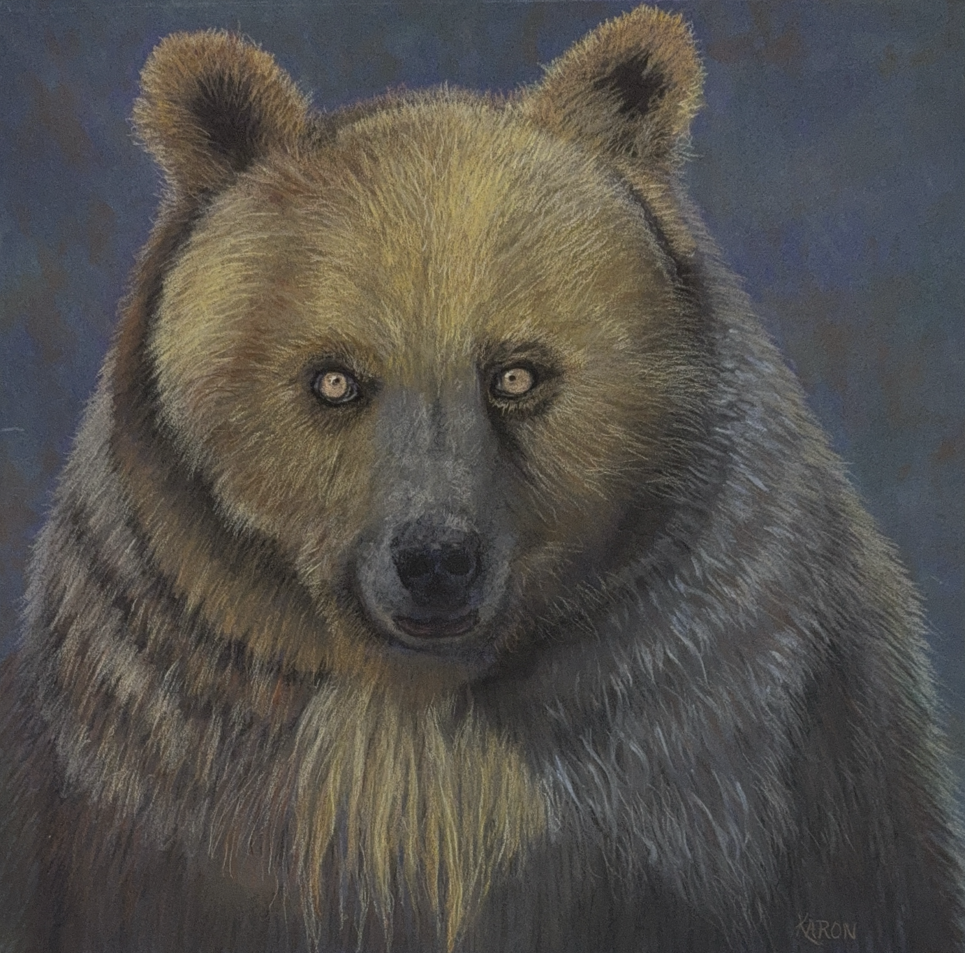 Grizzly .Pastel. 18 x 18 