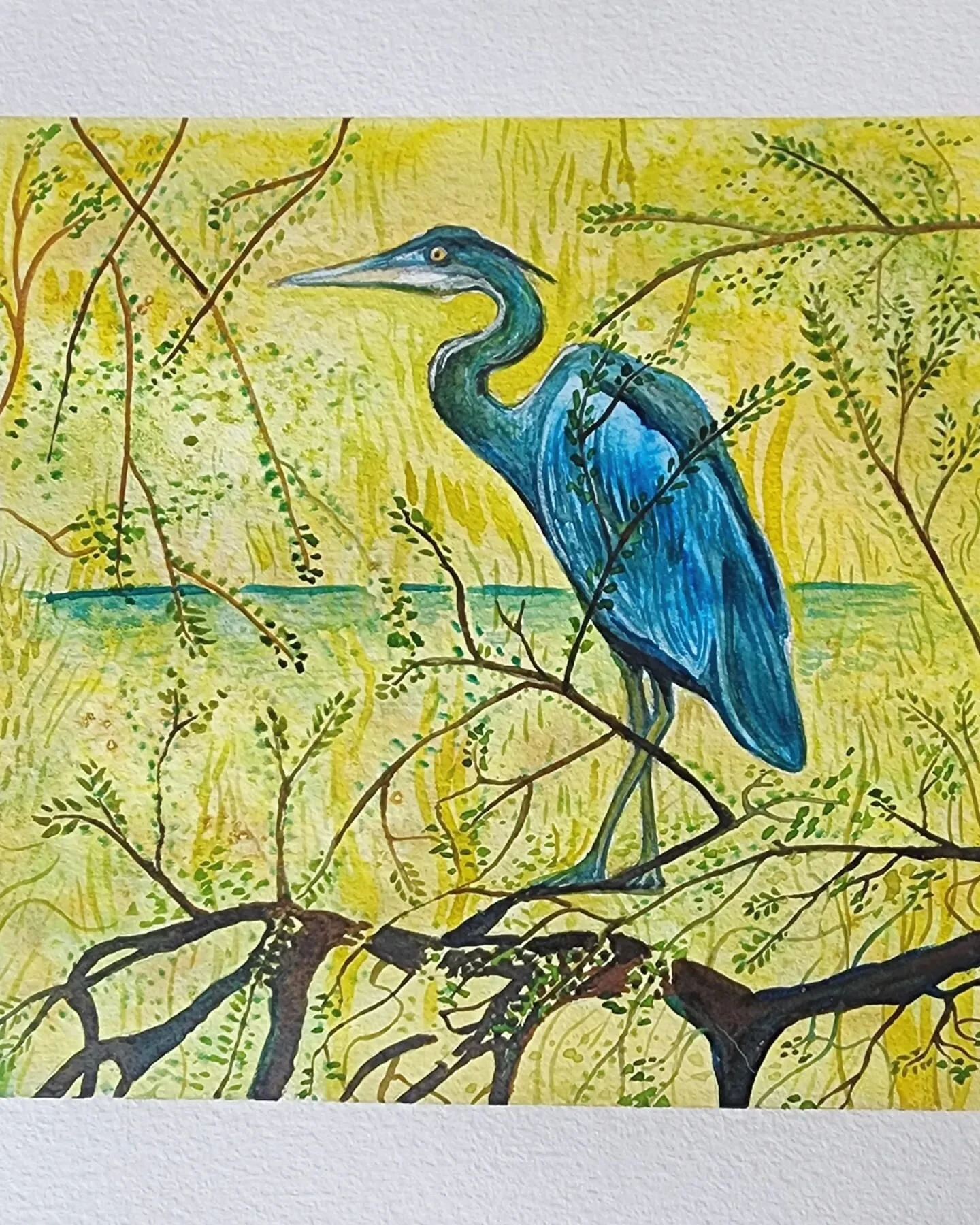 Great Blue Heron in watercolor on paper. Maybe I should paint more birds? What do you think?  #miniaturepainting #watercolorpainting #painting #fortheloveofalia #watercolor #artwork