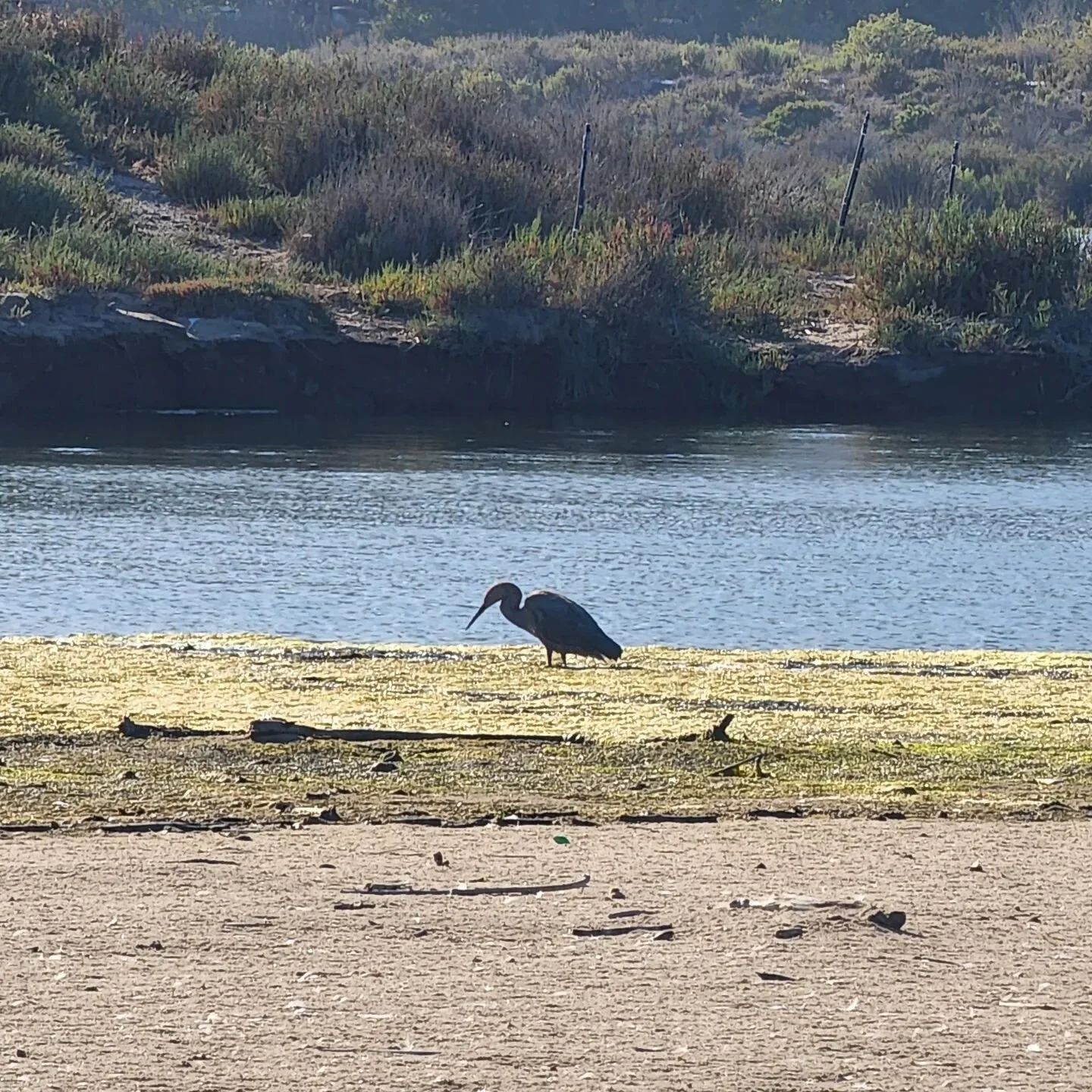 #malibucalifornia #malibulagoon #malibulove #fortheloveofalia