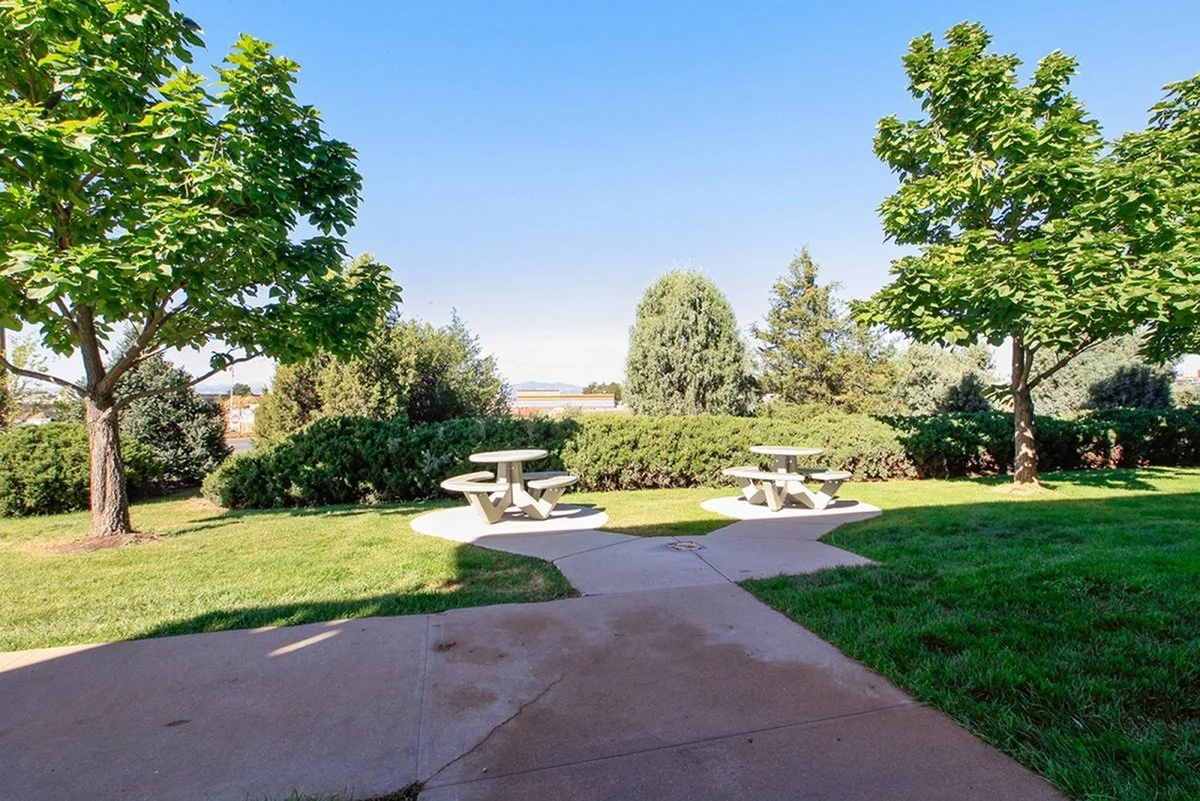 Copy of Common are facing south - Copy.jpg