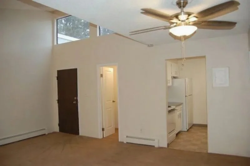 Skylight Unit- Living Room Carpet (2).jpg
