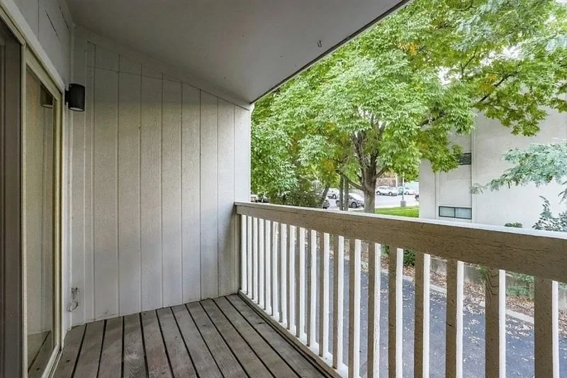 Patio (1).jpg