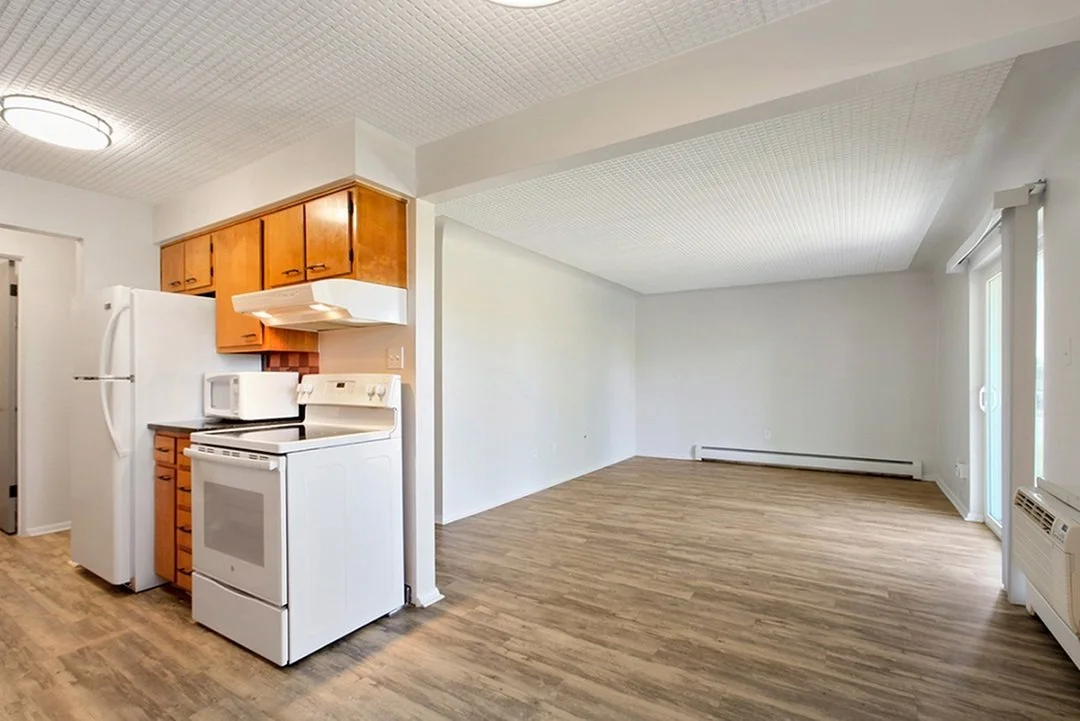 Copy of Kitchen   living room at flats_mls.jpg