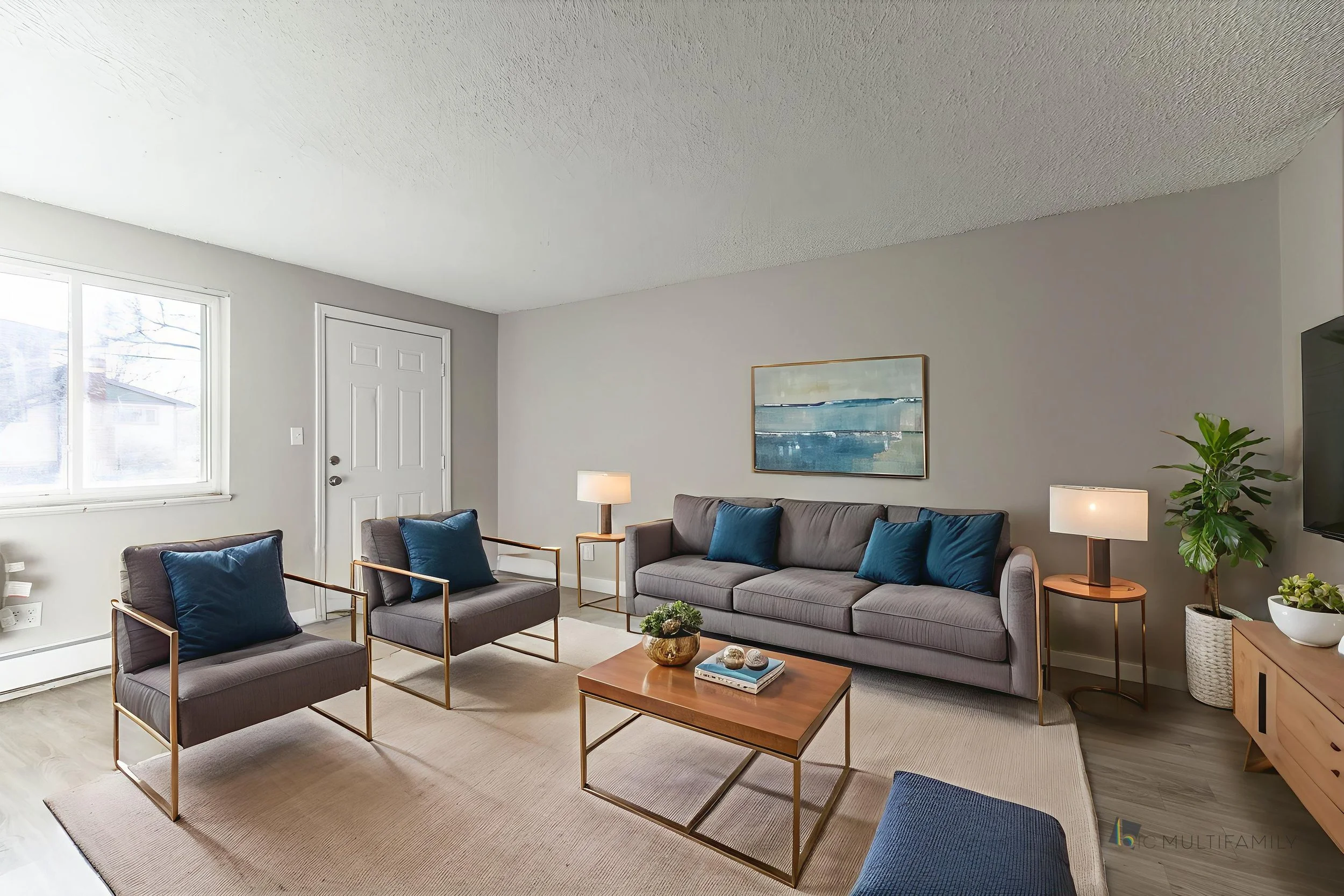 DSC09266 - Living Room - Modern - 1.jpg
