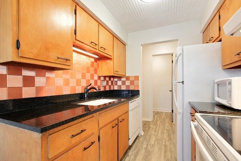 Copy of Kitchen sink   appliances view- Copy.jpg