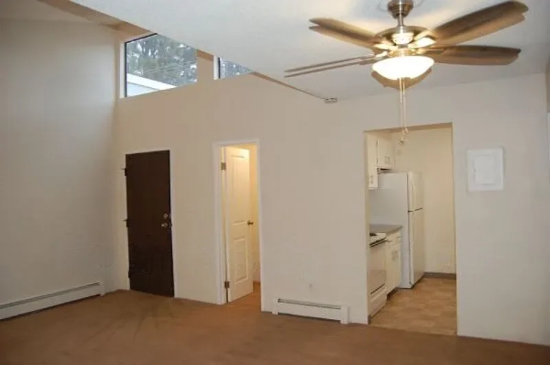 Skylight Unit Living Room Carpet .webp