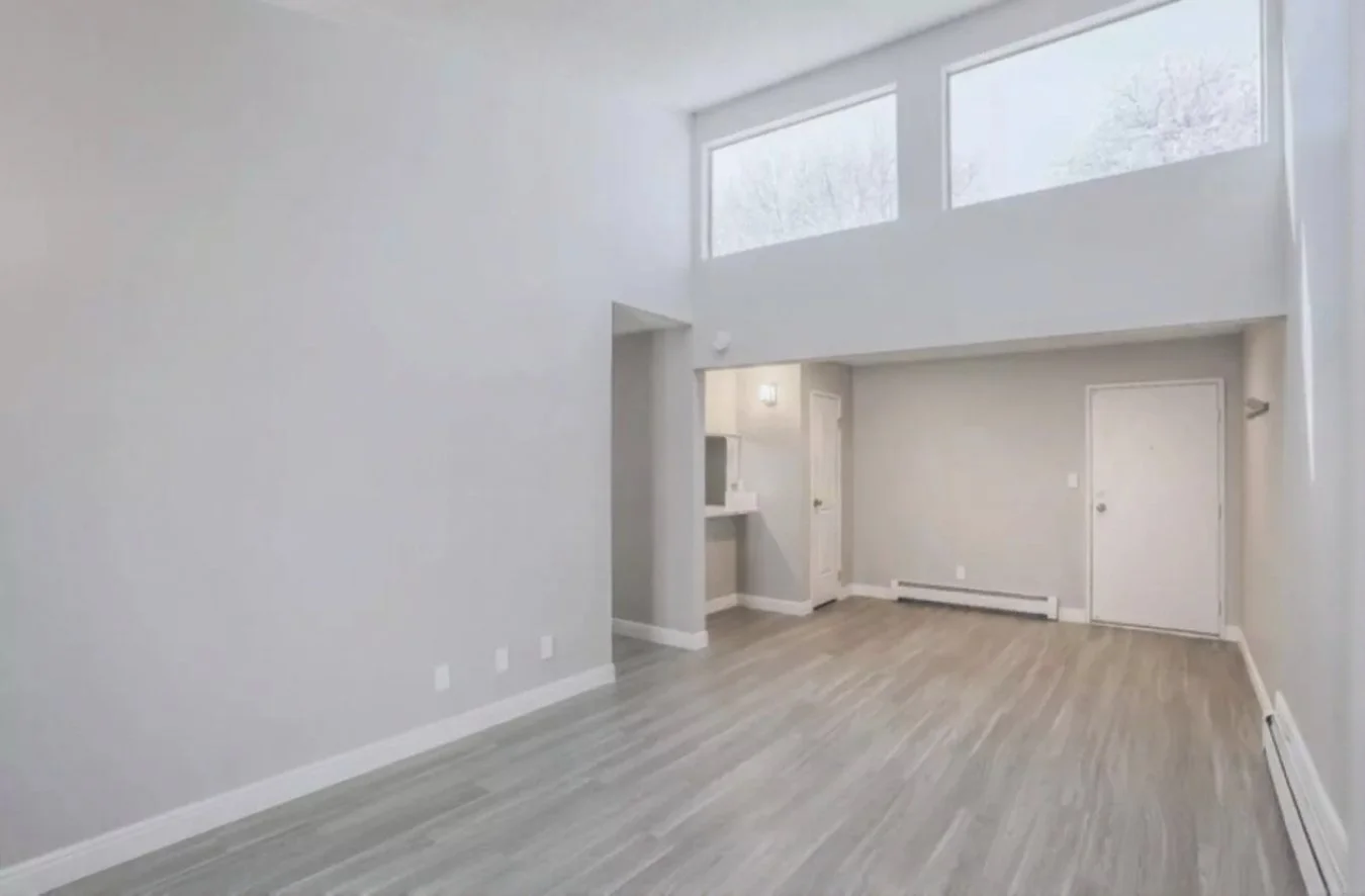 Skylight Living Room Plank (2).jpg