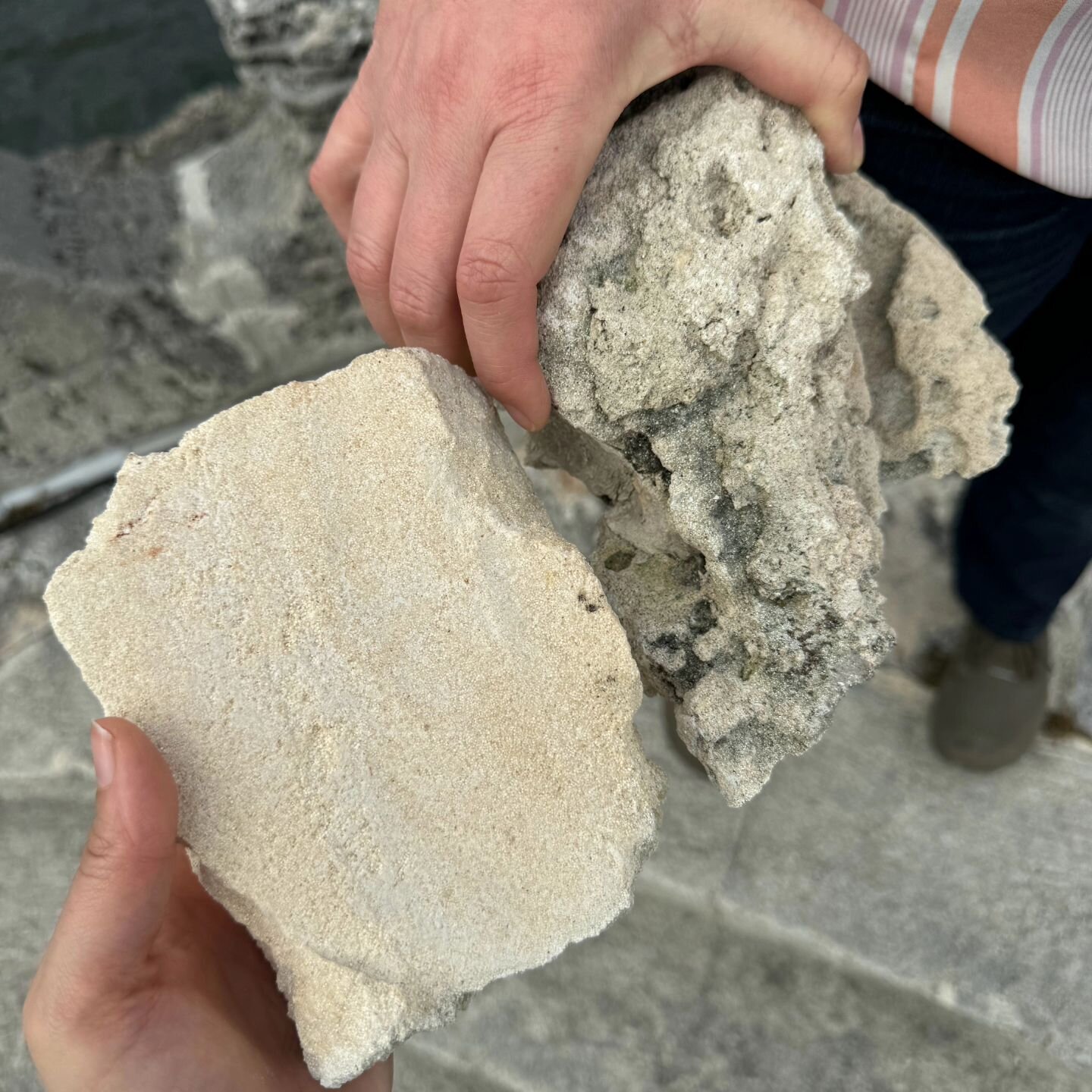 Learning about a new material and how they age and detriorate is never boring, especially to architectural consevators, who find material investigation rather intriguing! 

Here, you see JBC conservators holding the Miami Oolite Stone with a fresh an