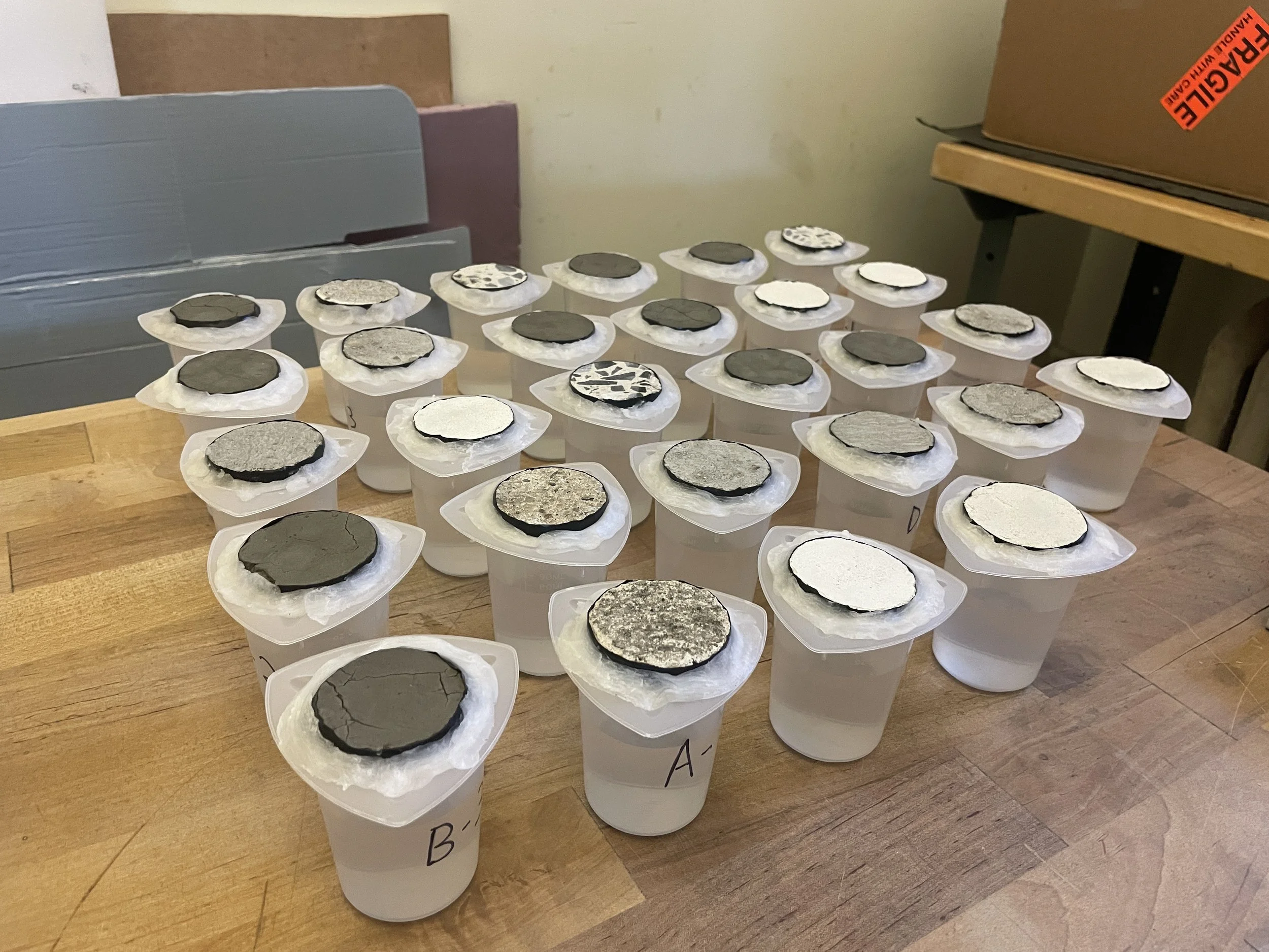 Water Vapor Transmission (WVT) test specimens from a study of composite patching materials.