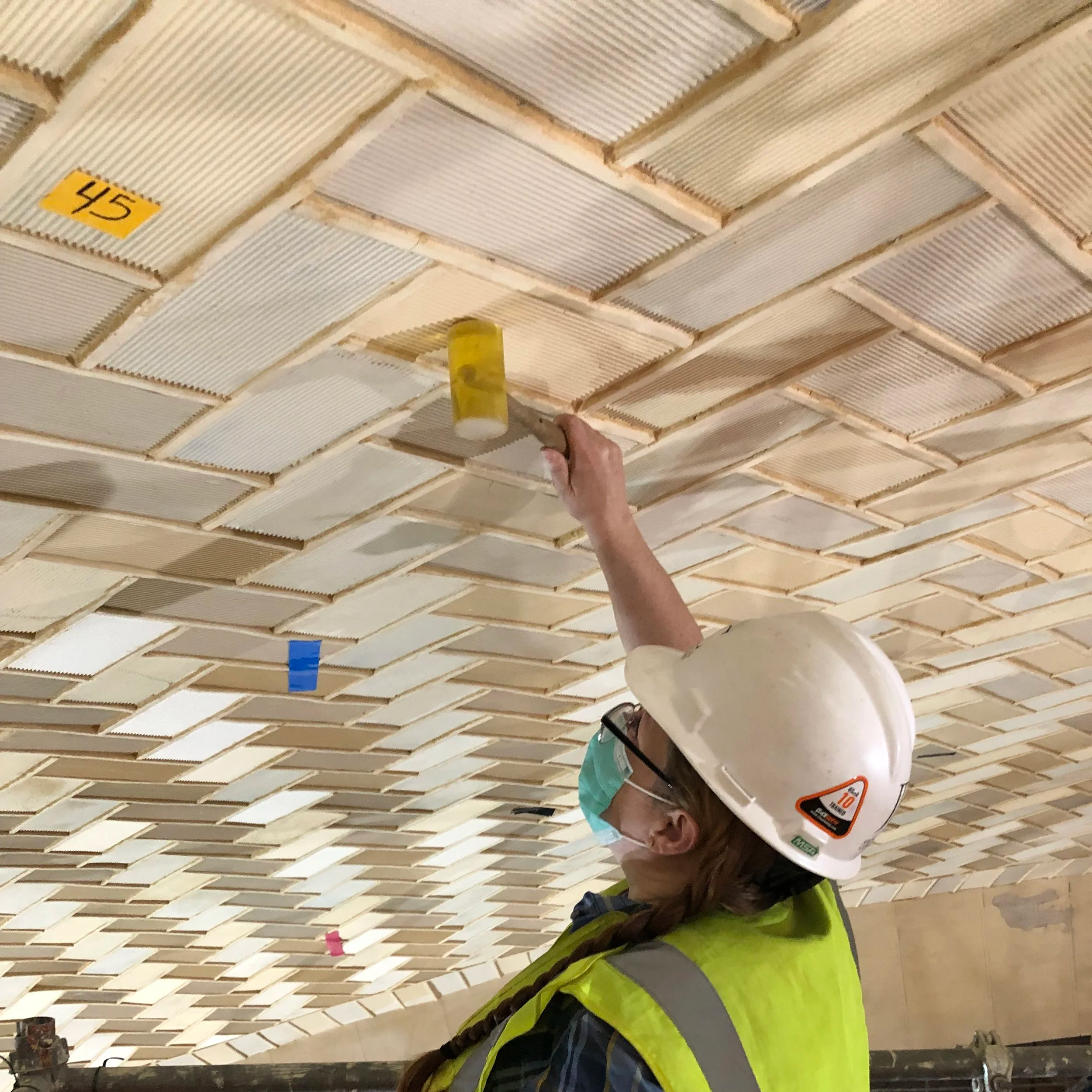 Conditions Assessments