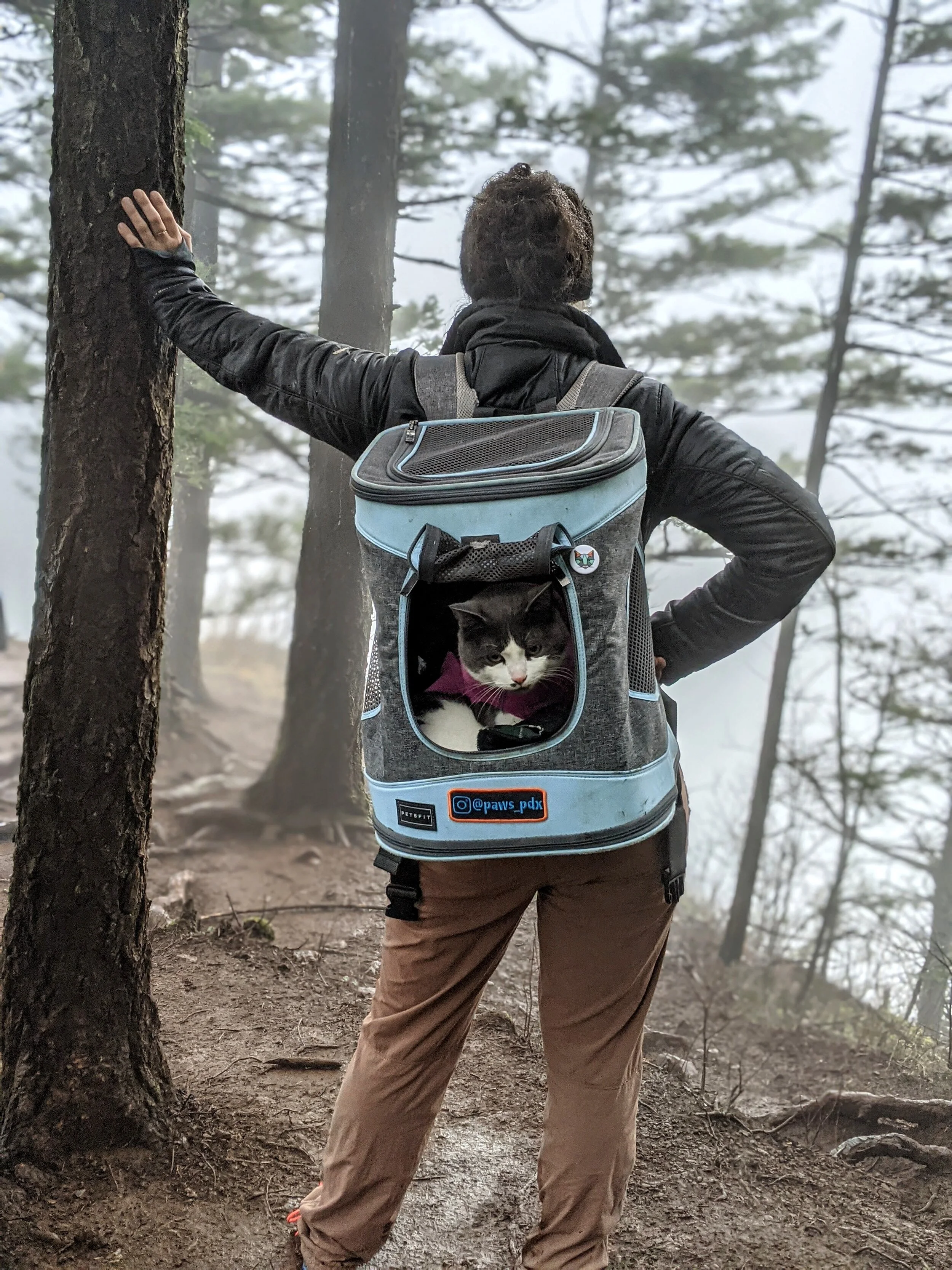 adventure cat backpack