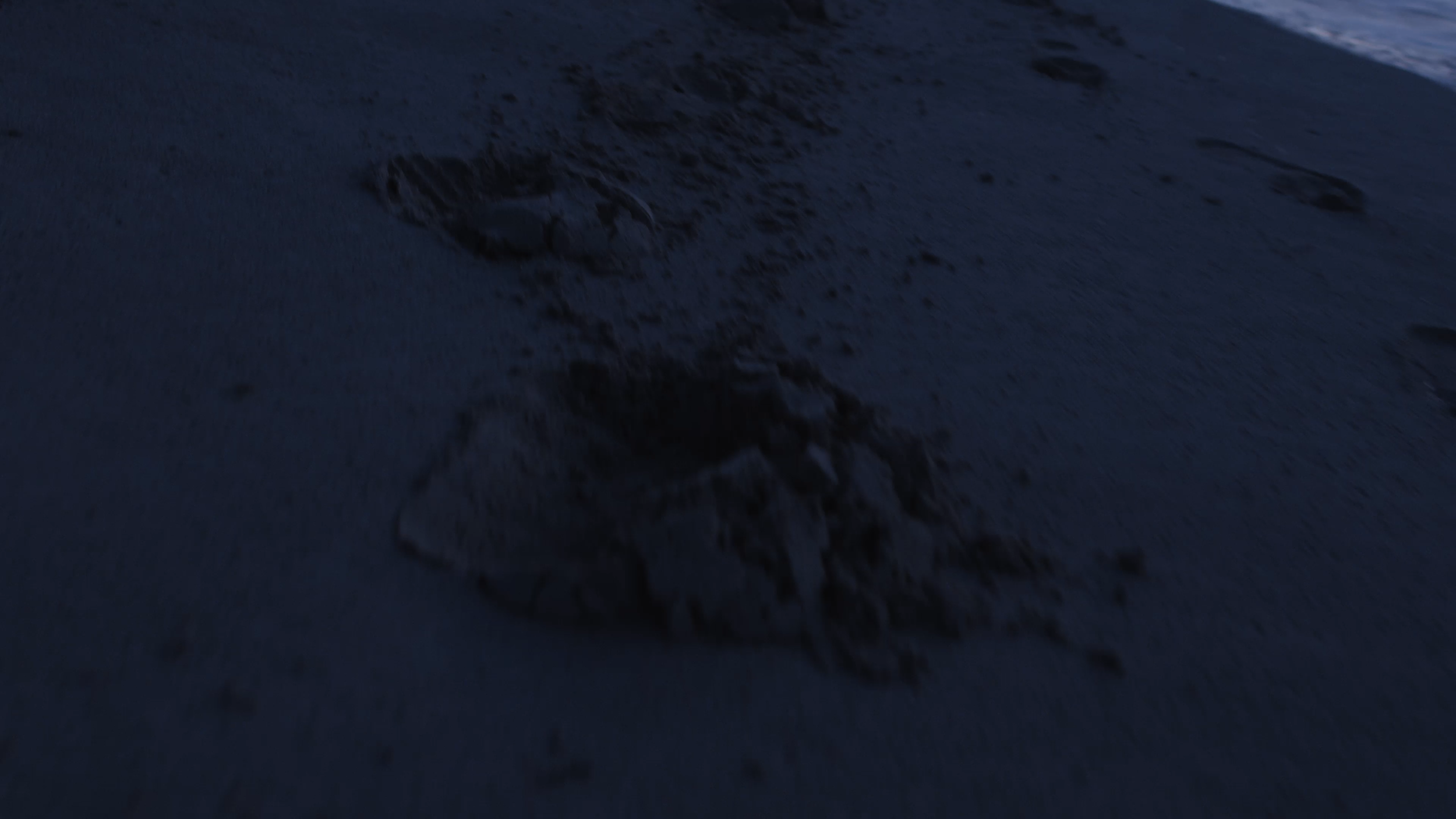 screenshots.00_00_39_08.Still059.png