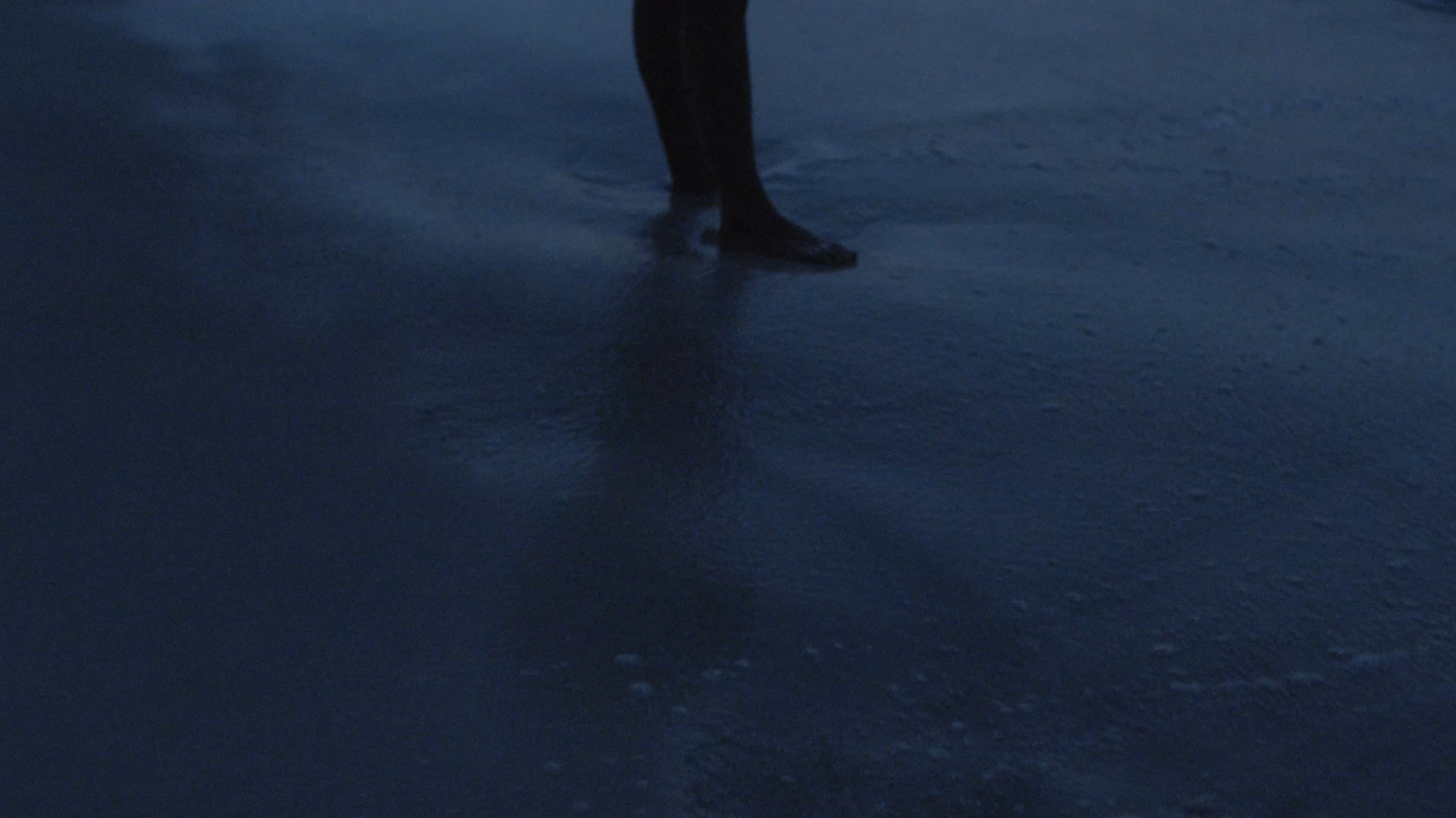 screenshots.00_00_28_05.Still045.png