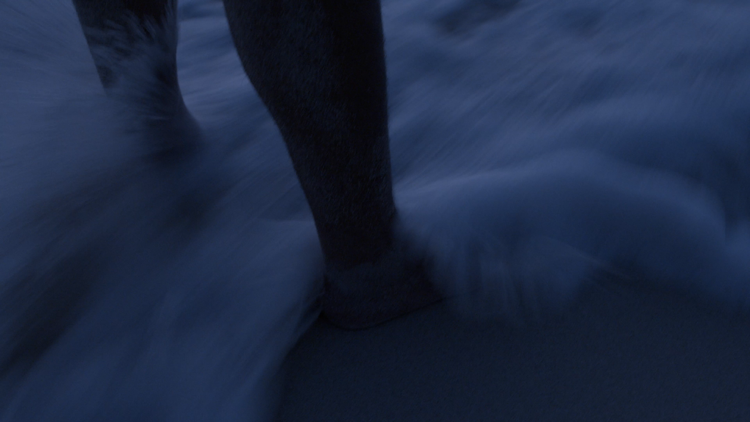 screenshots.00_00_35_01.Still052.png